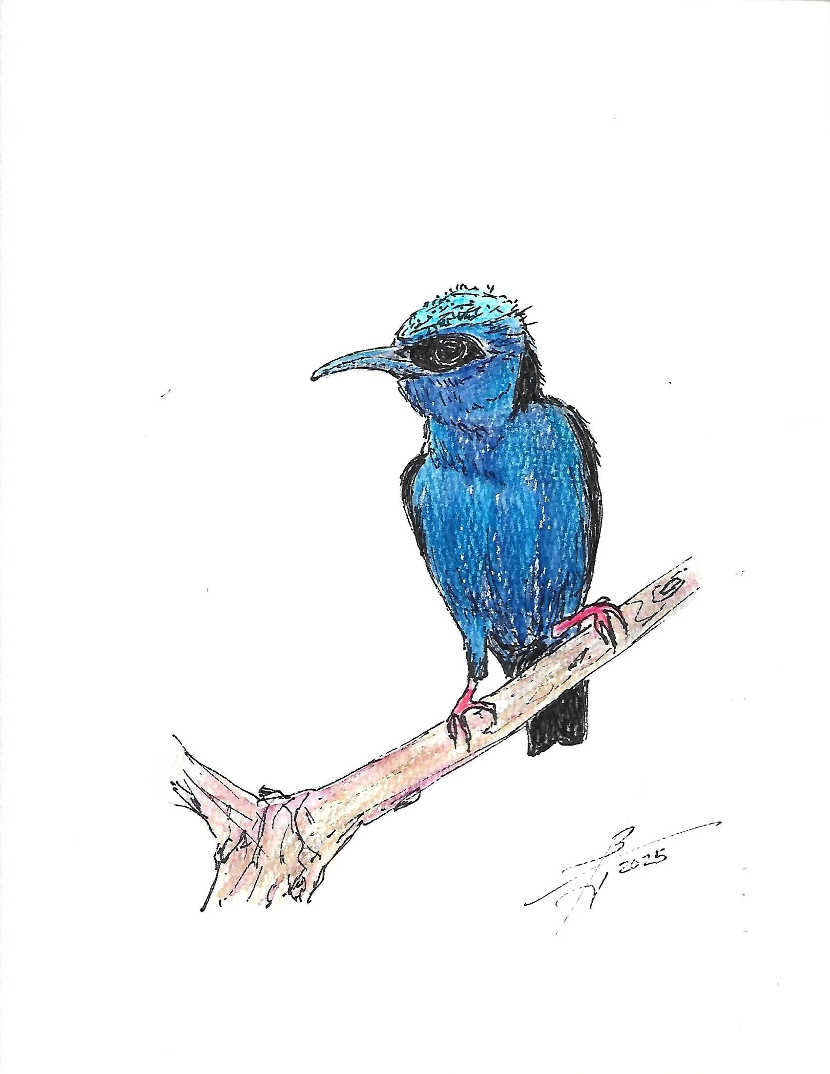 Scan.jpg 7 pen n ink birds_0002.jpg