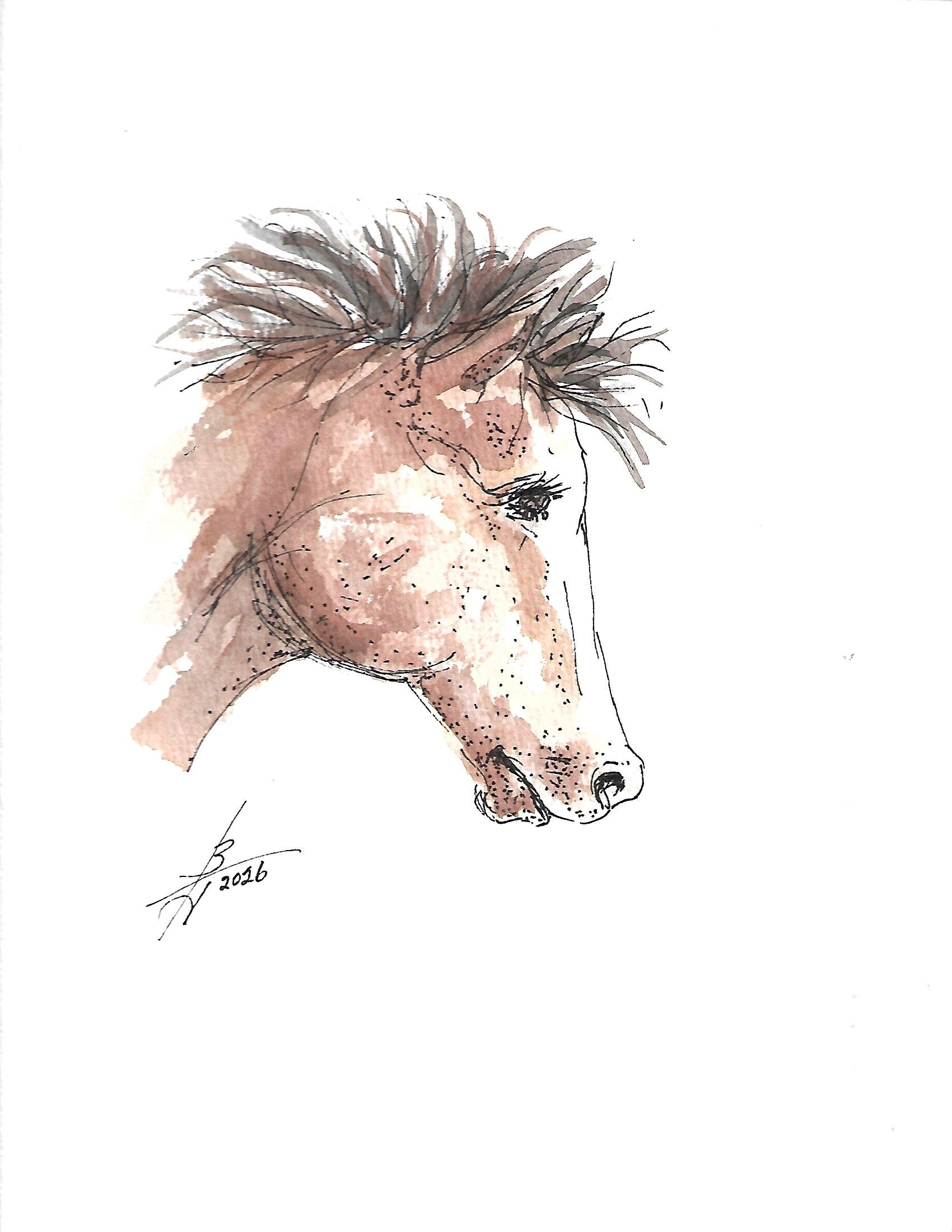 Pen n Ink 1-2026_0003.jpg