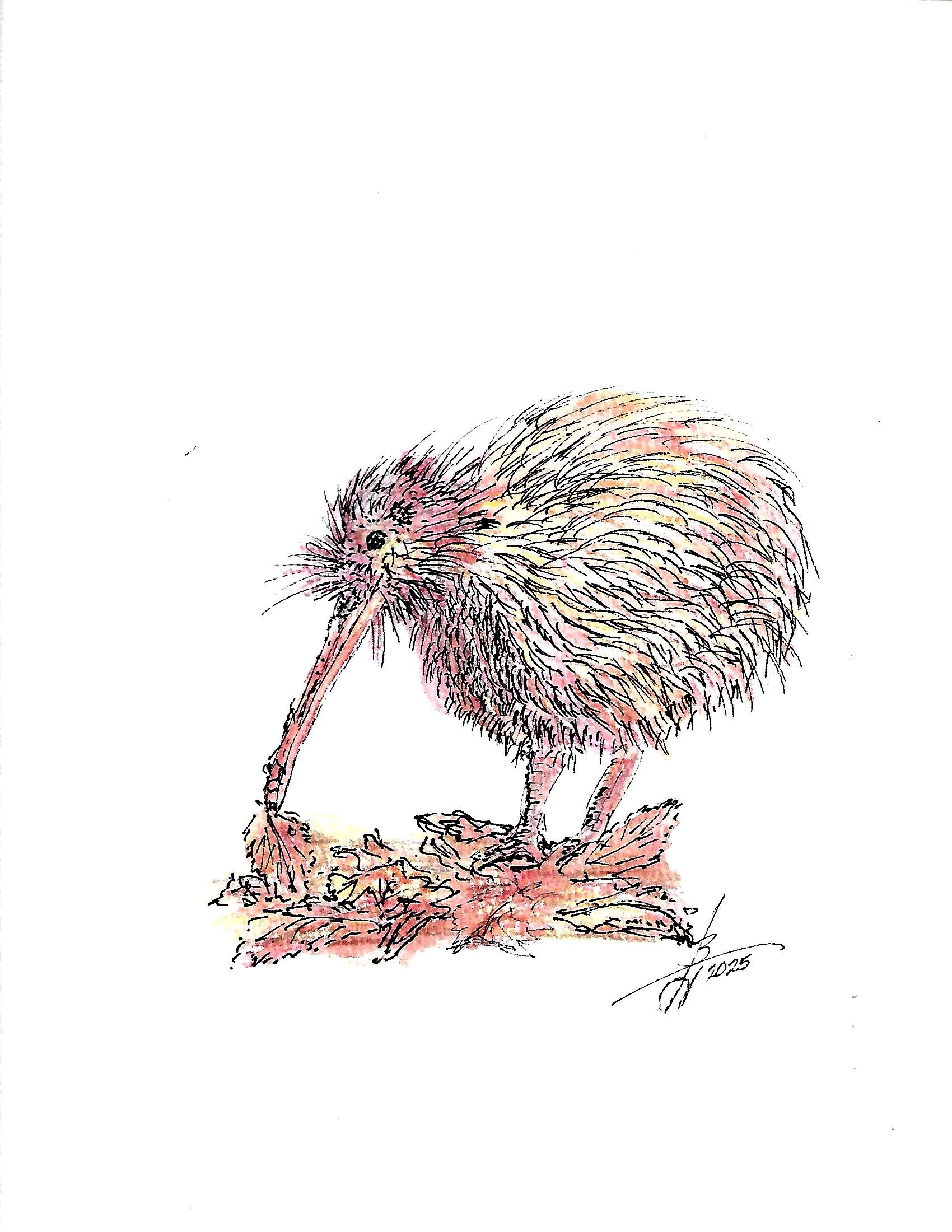 Scan.jpg 7 pen n ink birds_0003.jpg