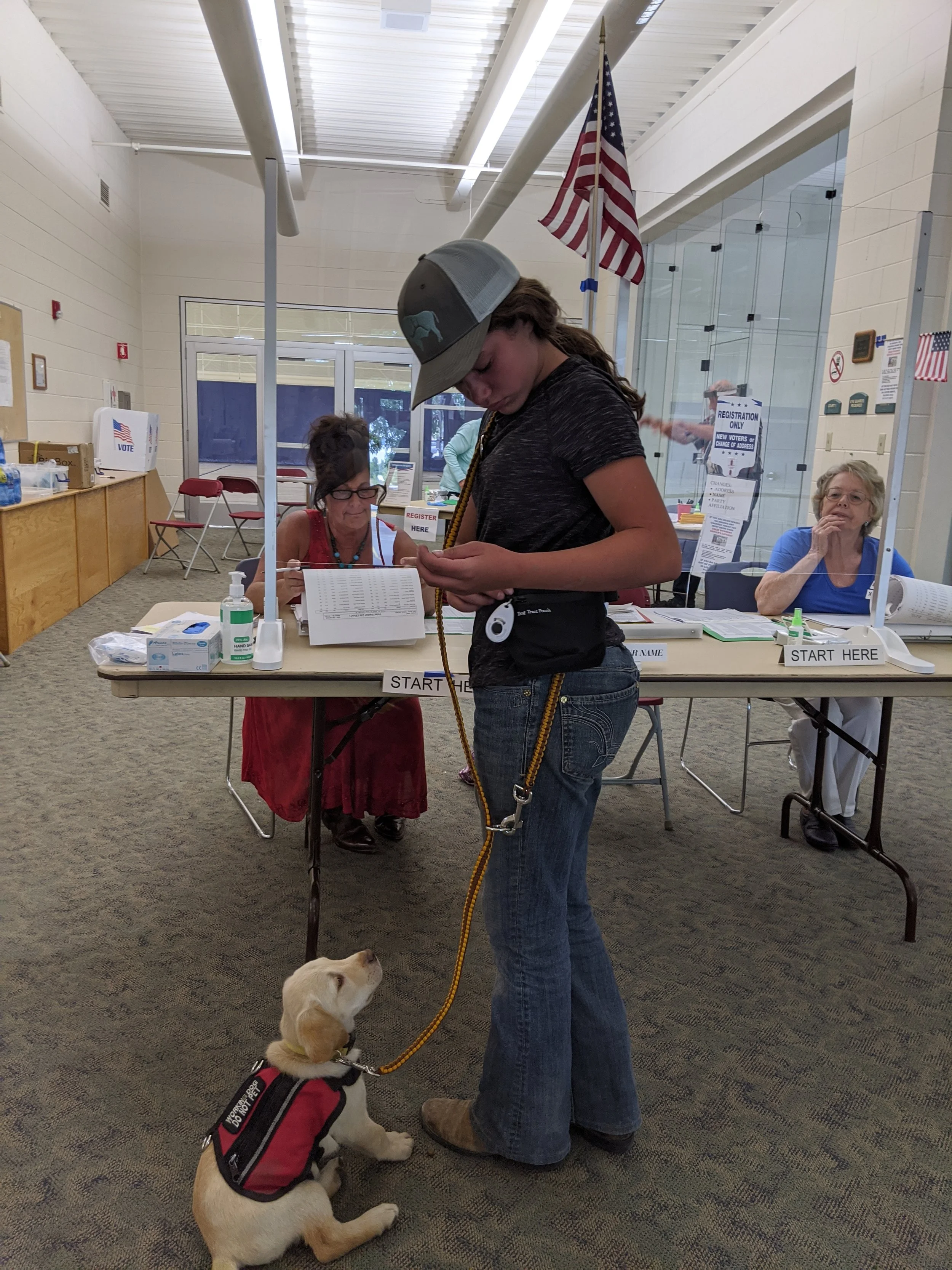 Assistance dogs; why shouldn’t they be protective