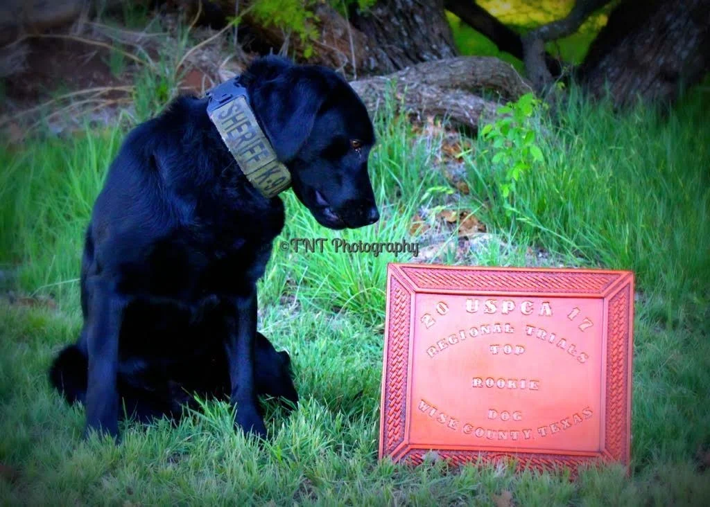 A black dog with a collar marked "Sheriff" sits beside a red plaque on grass, with trees and greenery in the background.