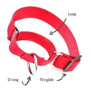 Red dog harness with labeled components: loop, D-ring, and tri-glide
