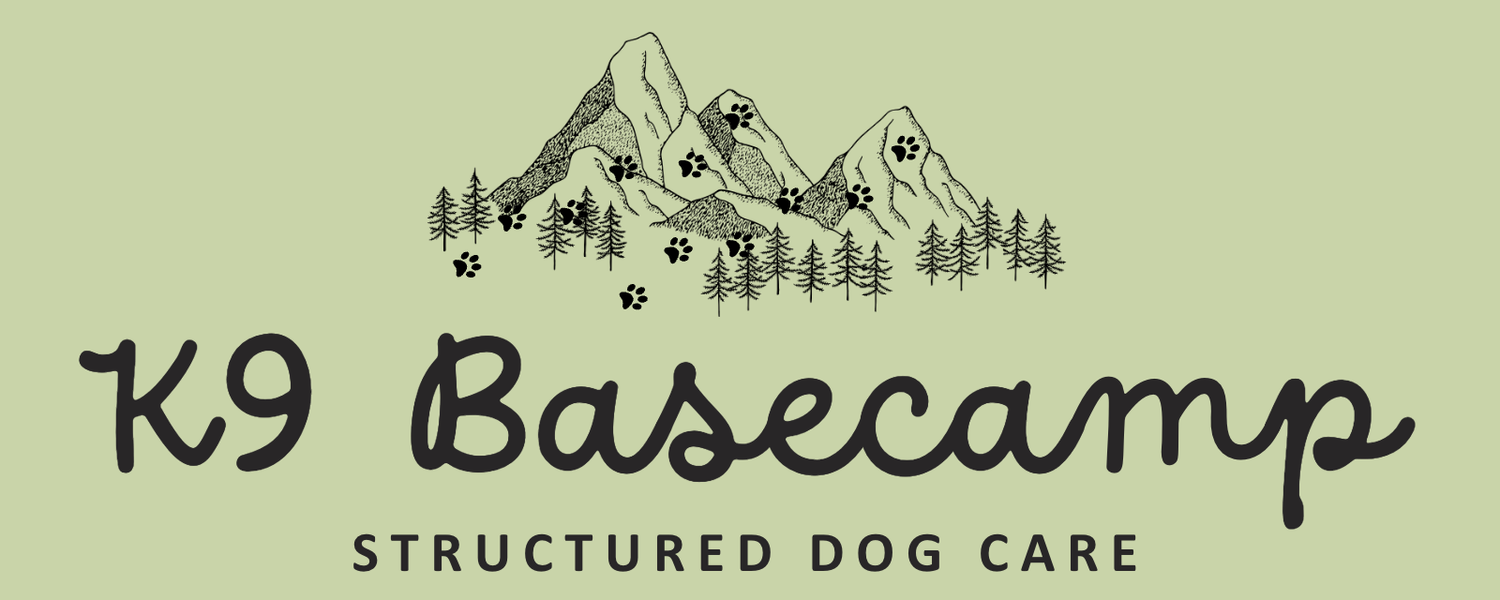 K9 Basecamp | Structured Dog Care