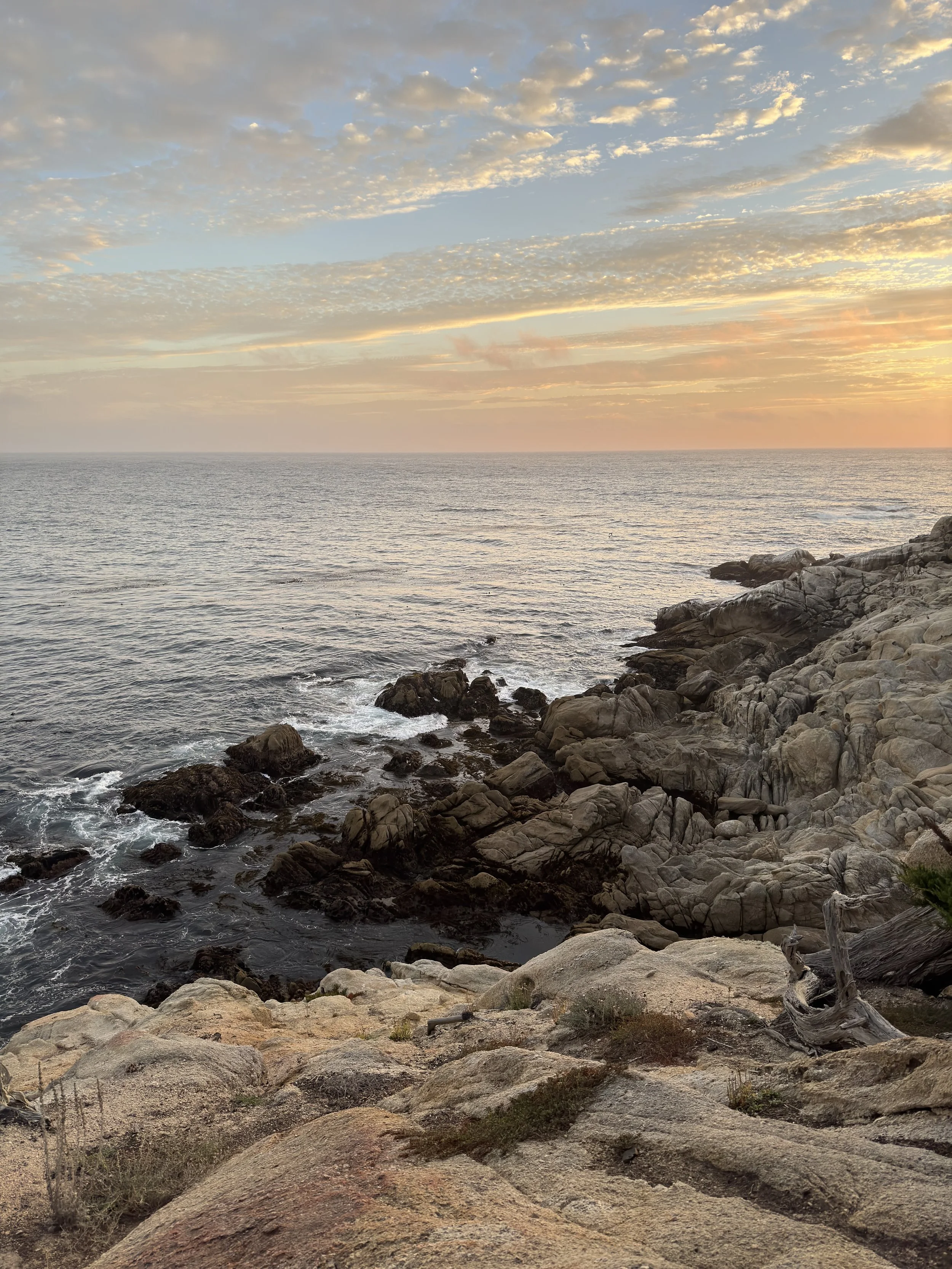 A rocky coast at sunrise on the Rachel Bernhard website.