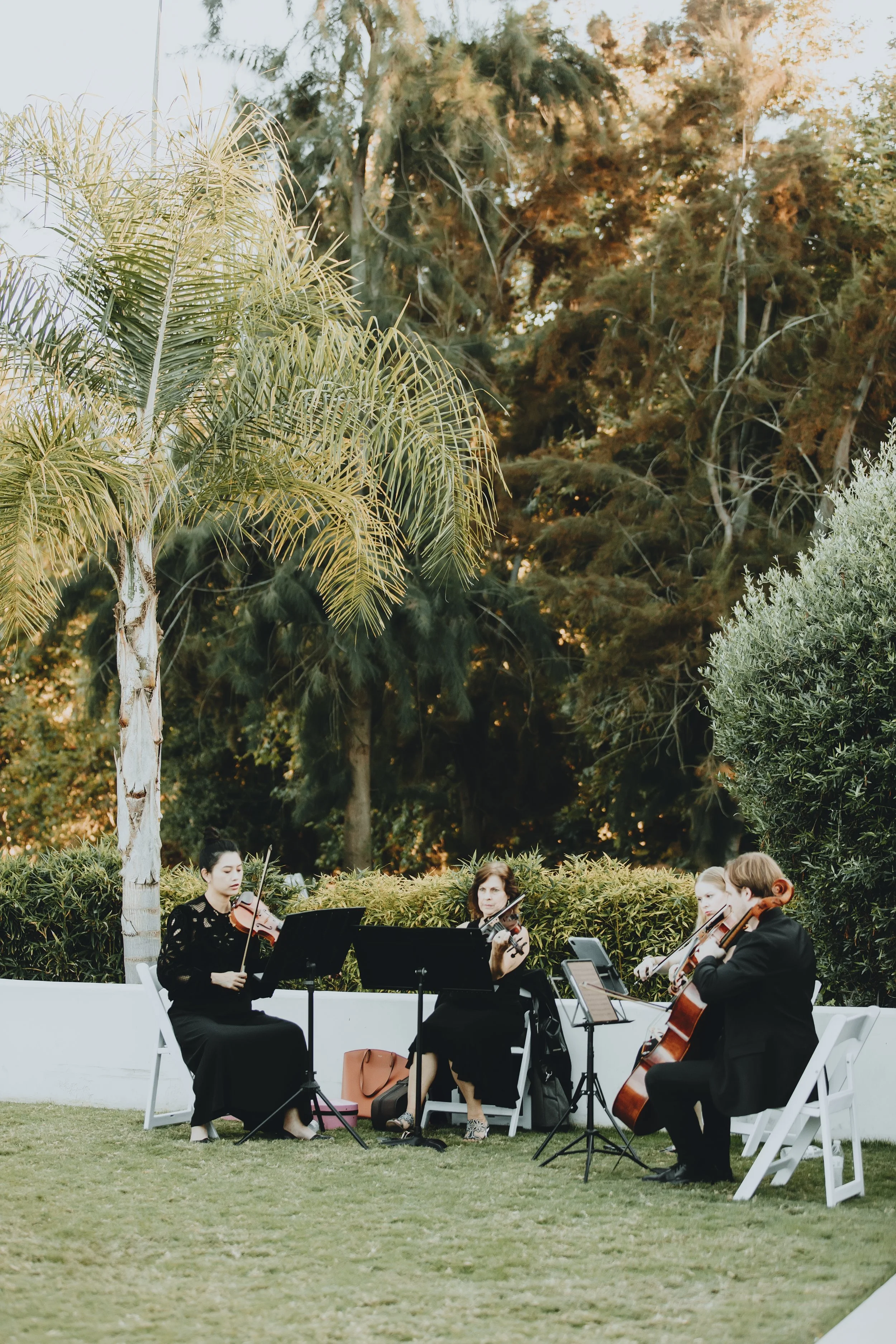 Mr & Mrs Oliver095.jpg