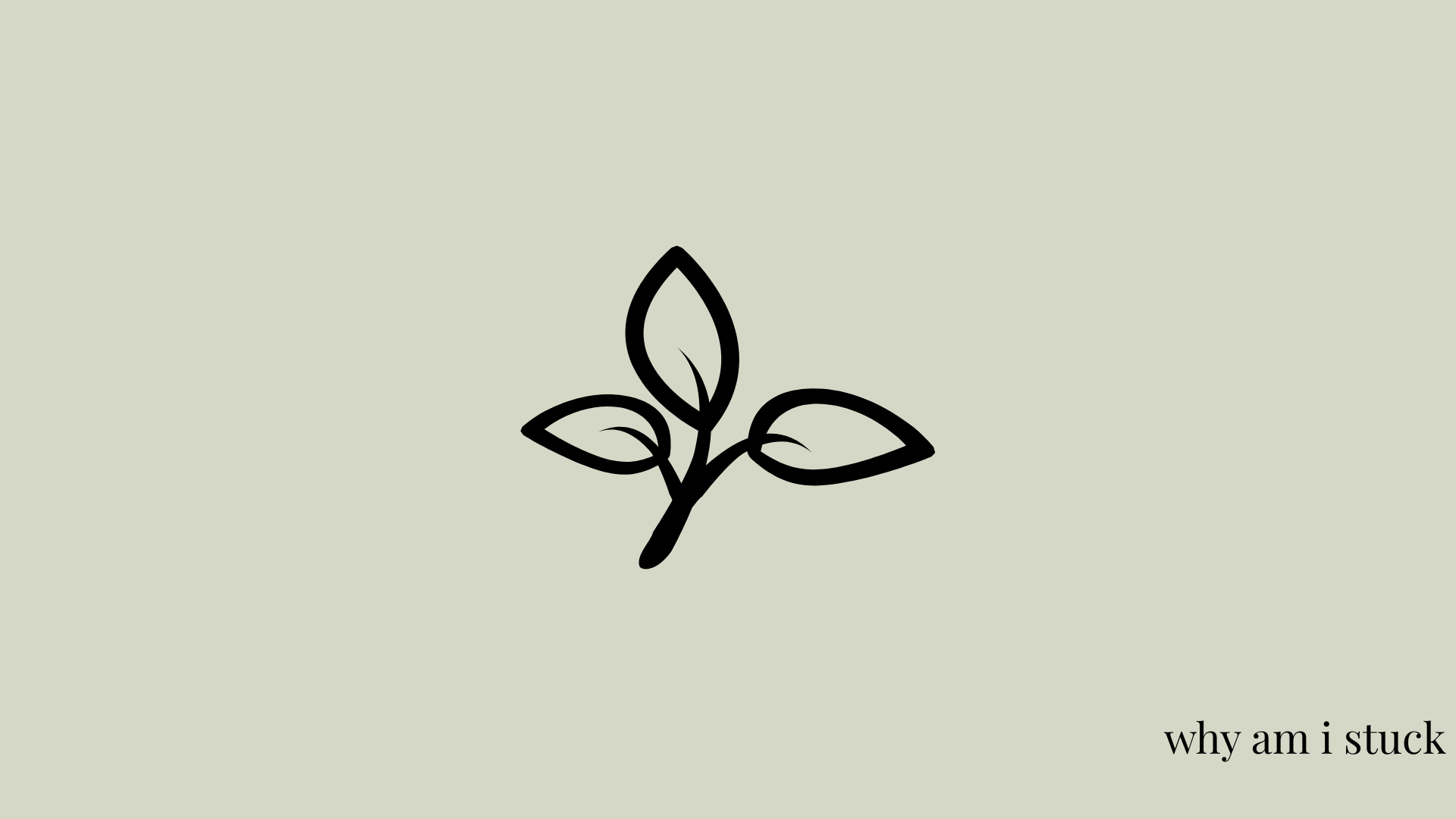 1:1 Wellness Consultation