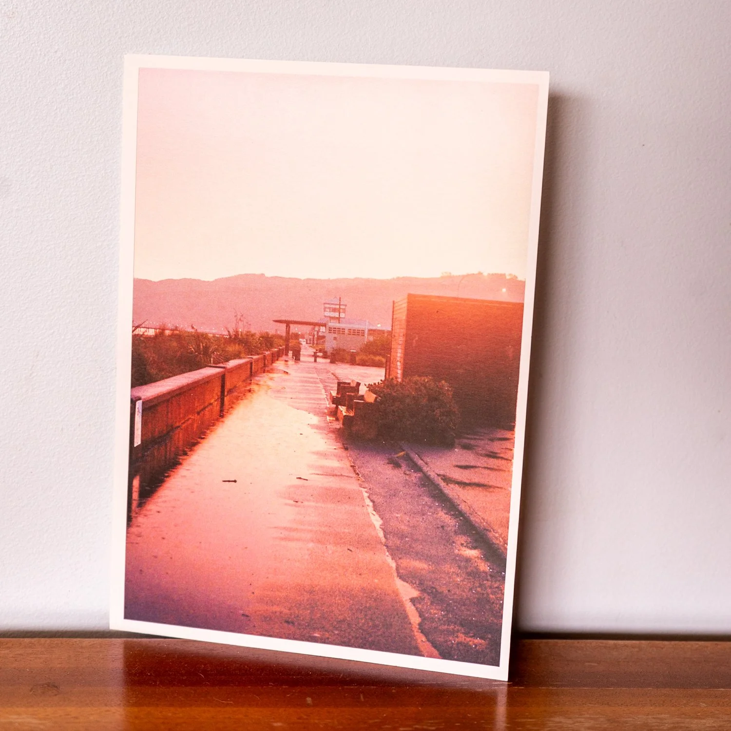 'Petone Pink' Film Photograph Print