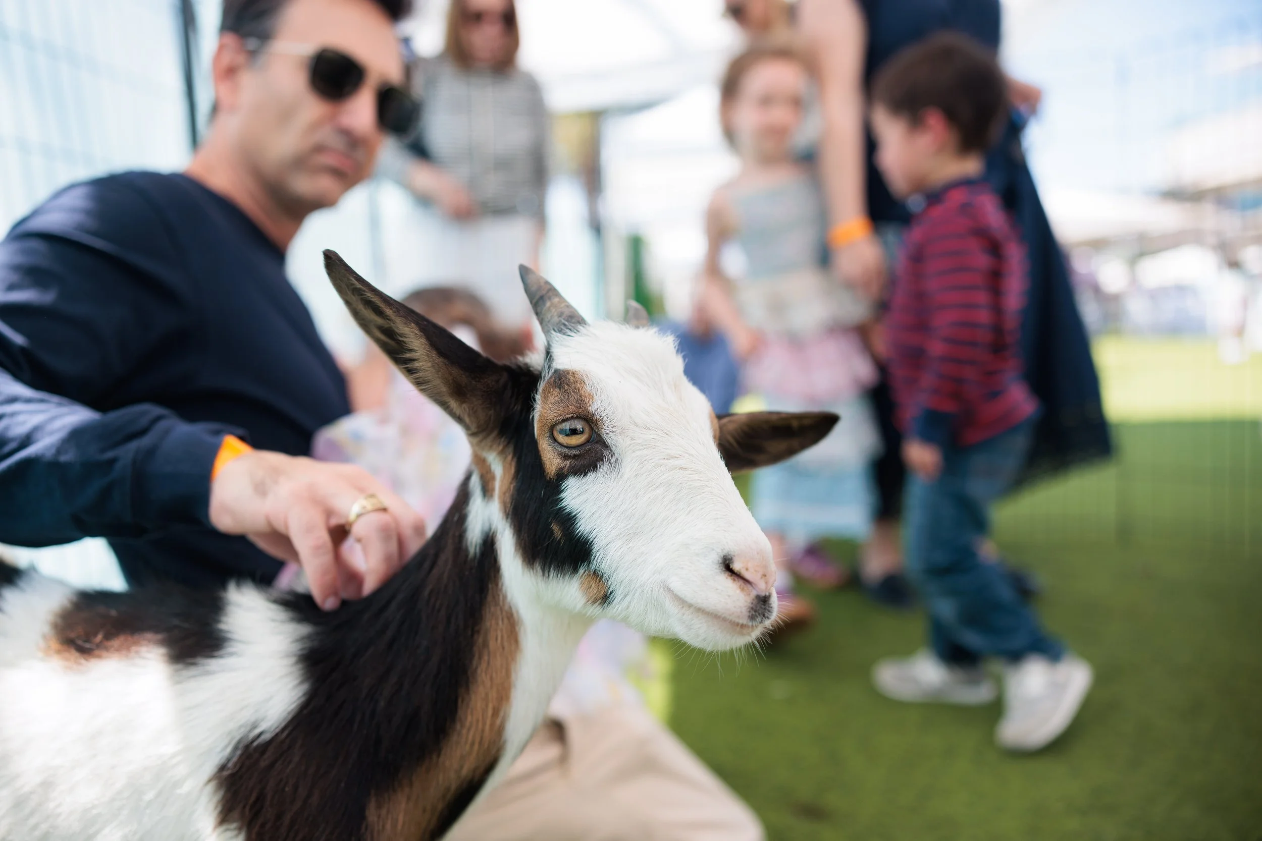 A man wearing sunglasses strokes a small goat at an outdoor petting zoo, with several children and adults in the background.