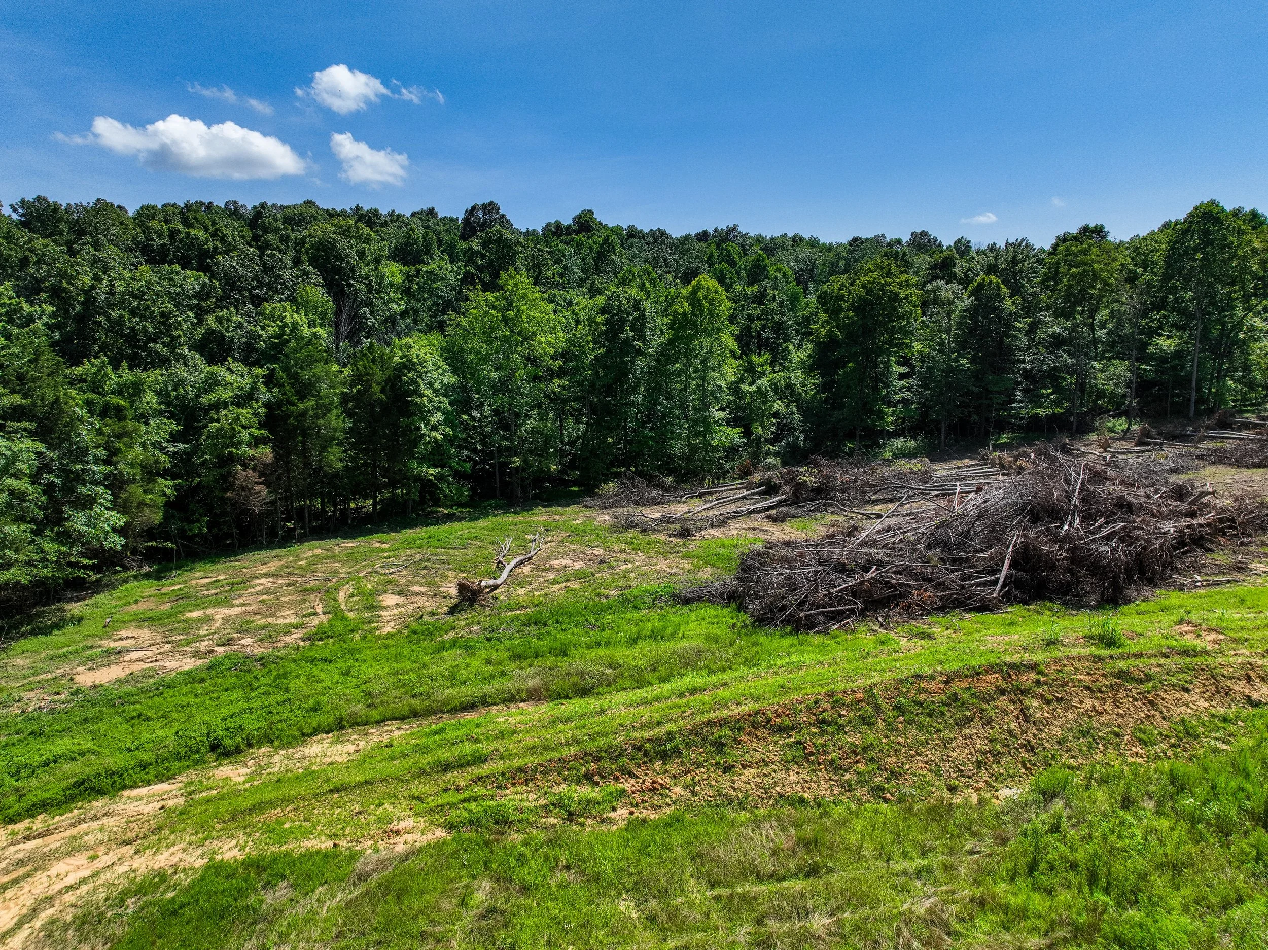 DJI_20260704145252_0029_V.jpg