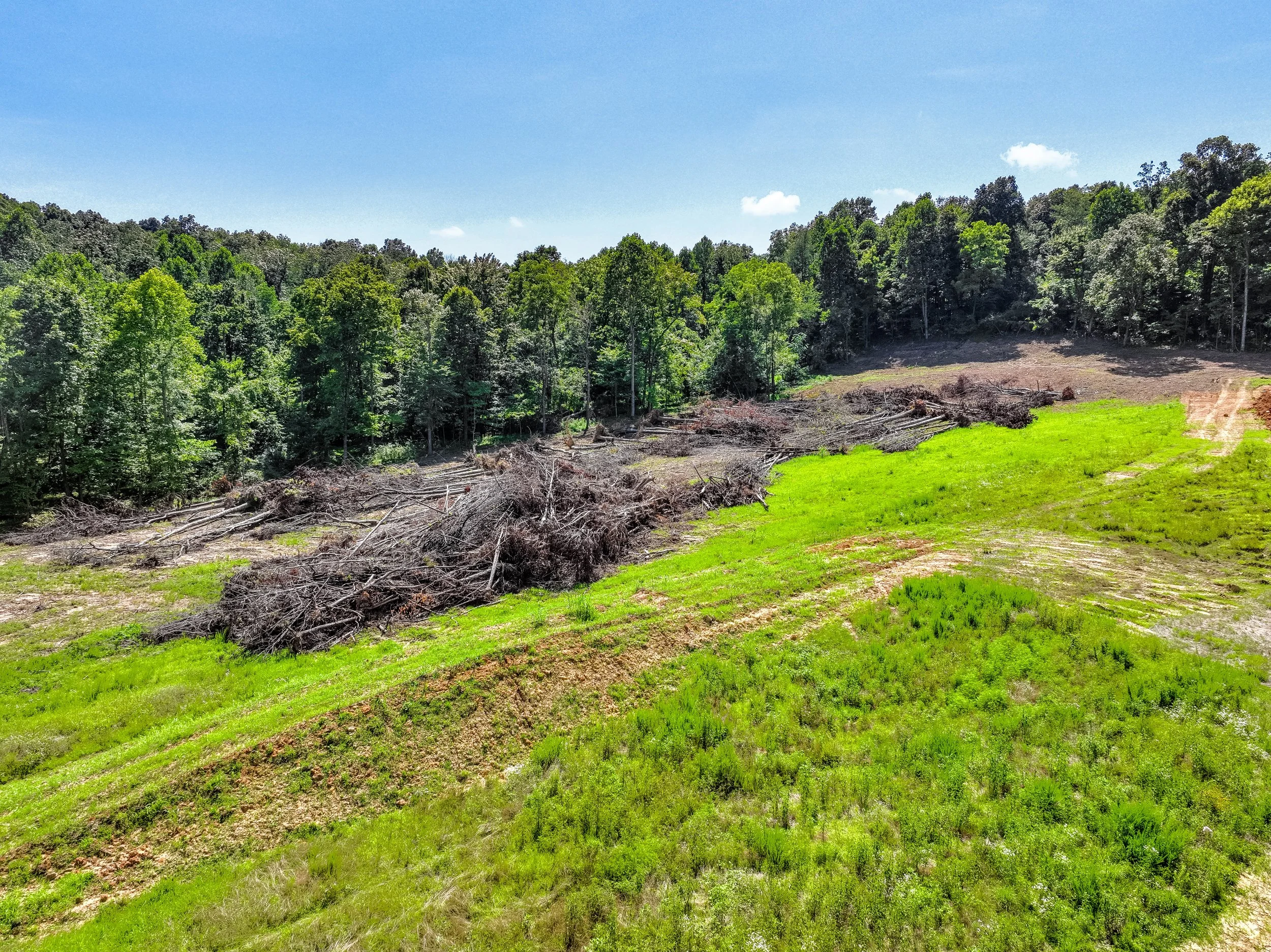 DJI_20260704145256_0030_V.jpg