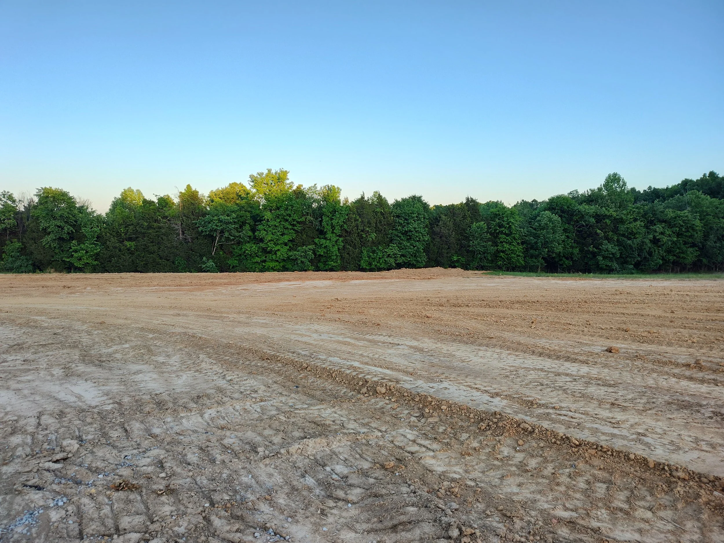 IMG_20260511_192313837_HDR.jpg