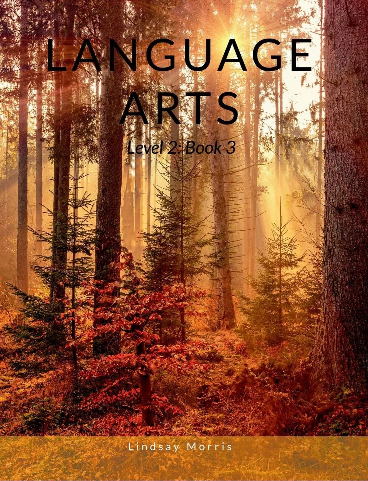Language Arts Level 2: Book 3