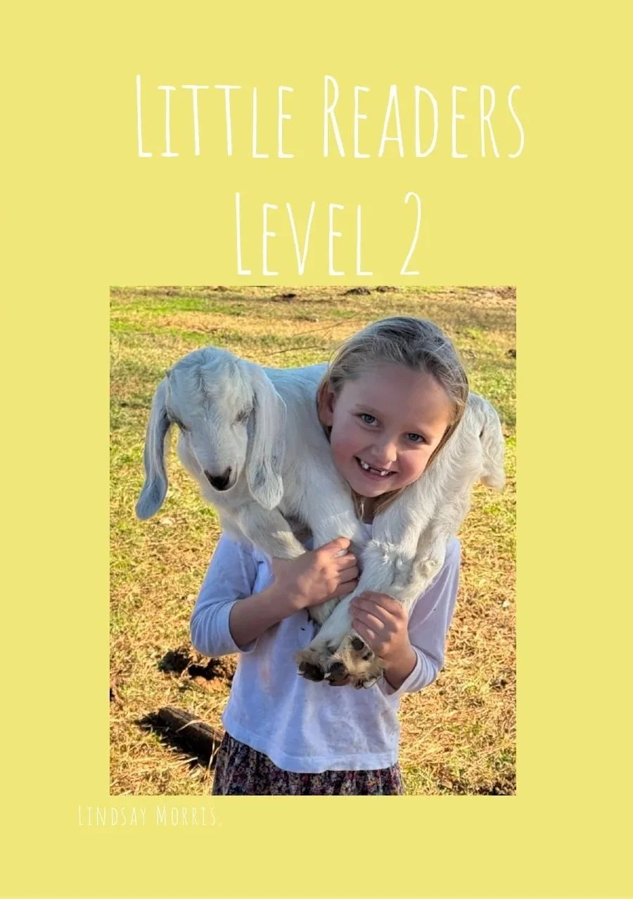 Little Readers Level 2