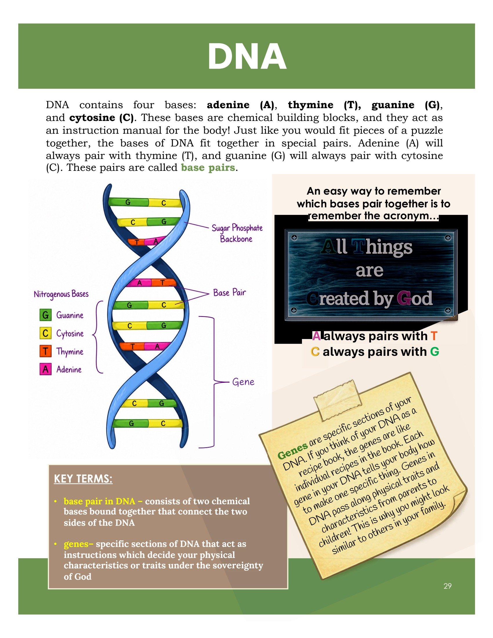 Biology textbook preview 1 .jpg