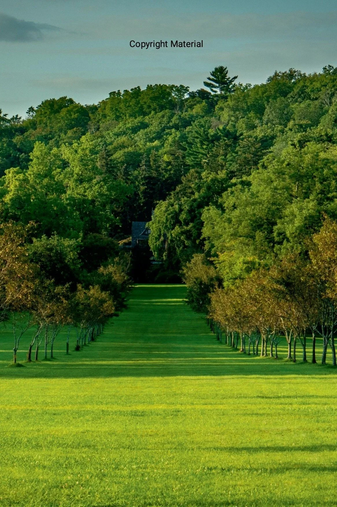 orchard.jpg