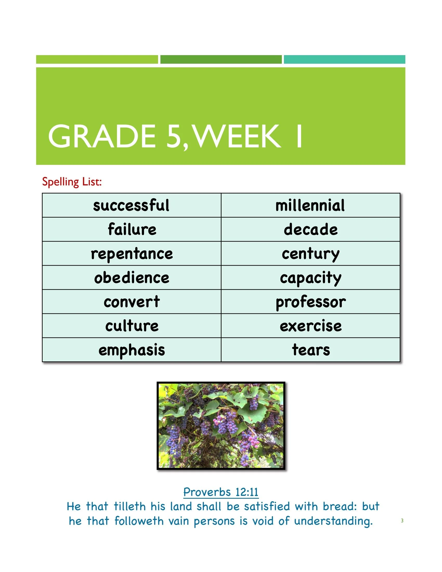 grade 5 1.jpg