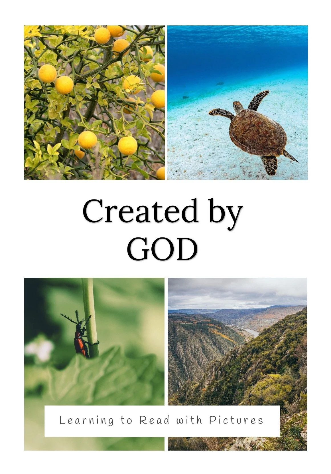 Created By God - Preschool Read and Trace Picture Book