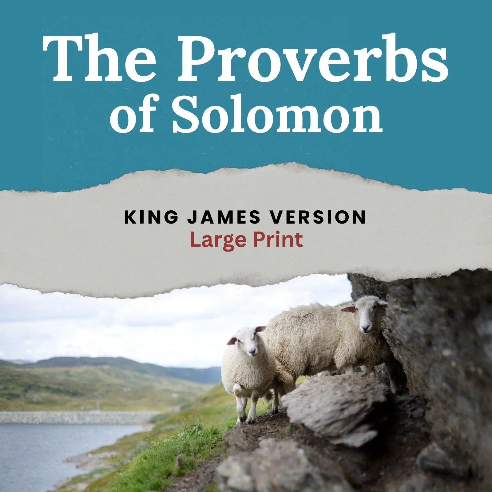 The Proverbs of Solomon
