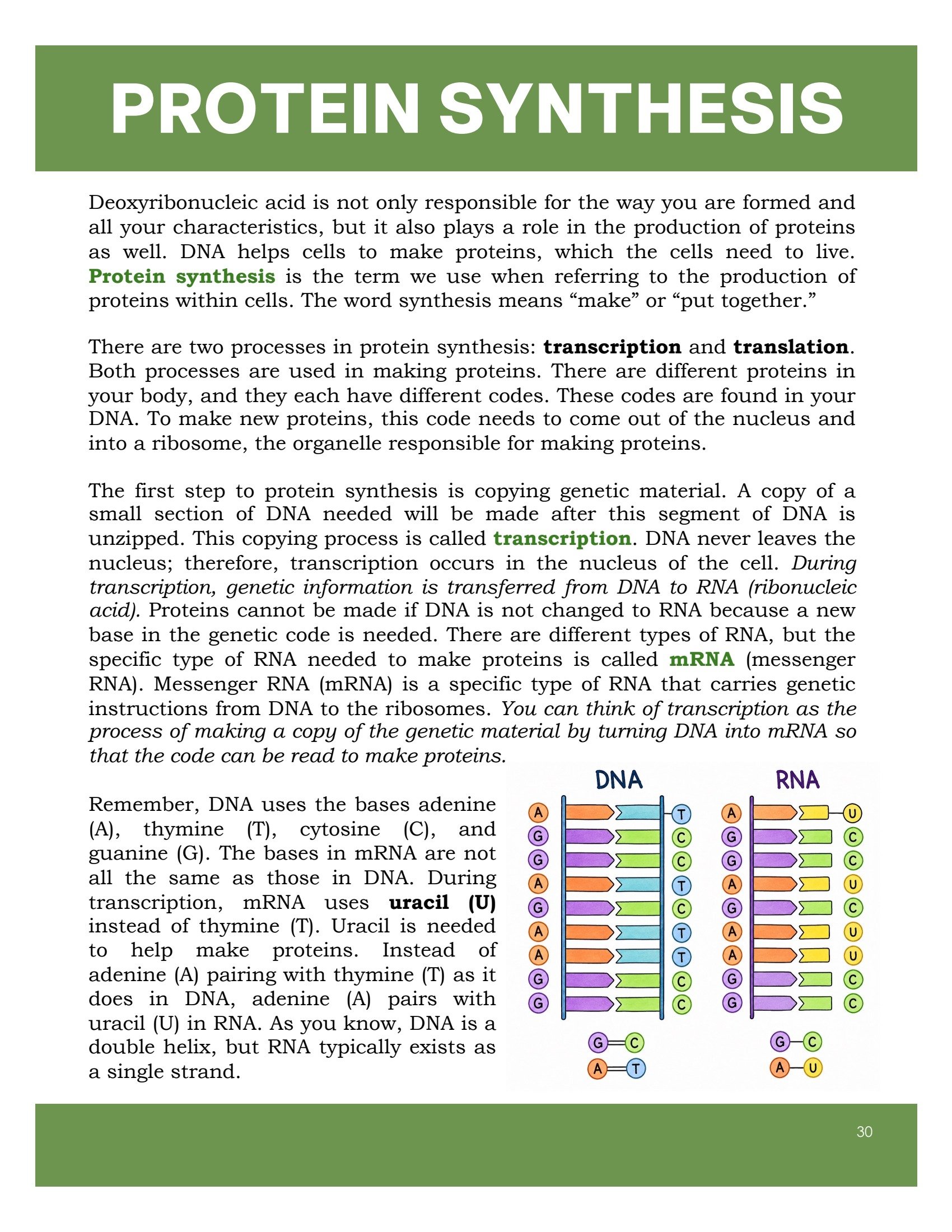 Bio texbook preview 2.jpg