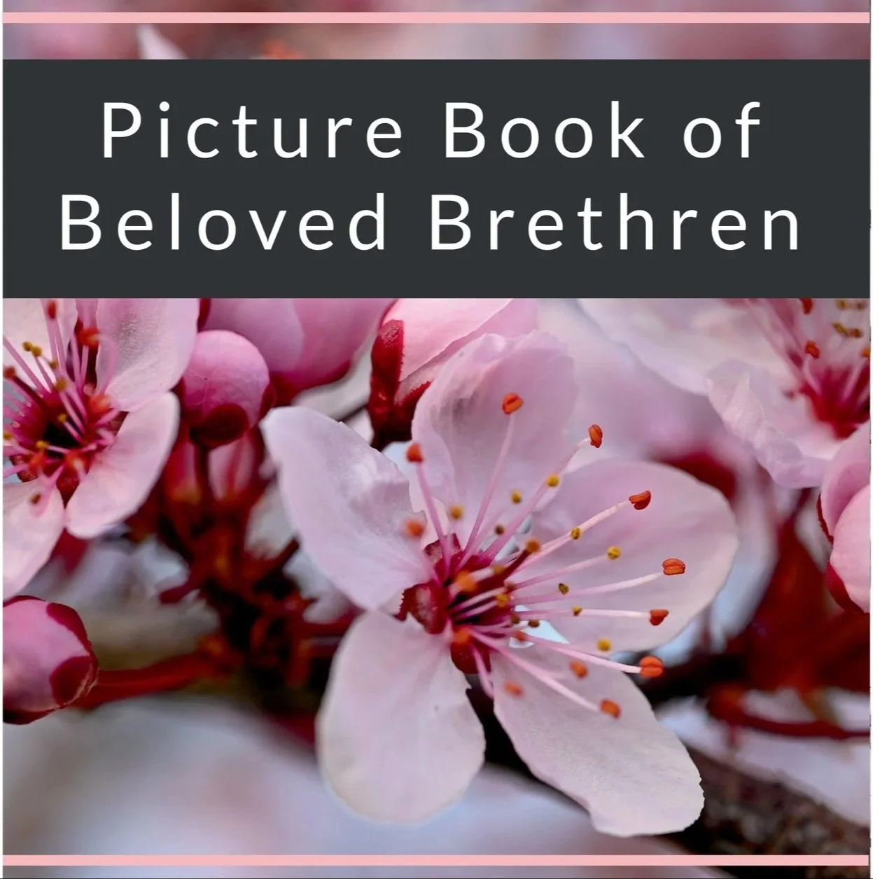 Picture Book of Beloved Brethren