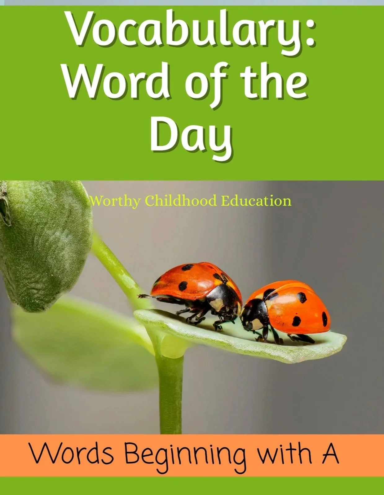 Vocabulary: Word of the Day - A