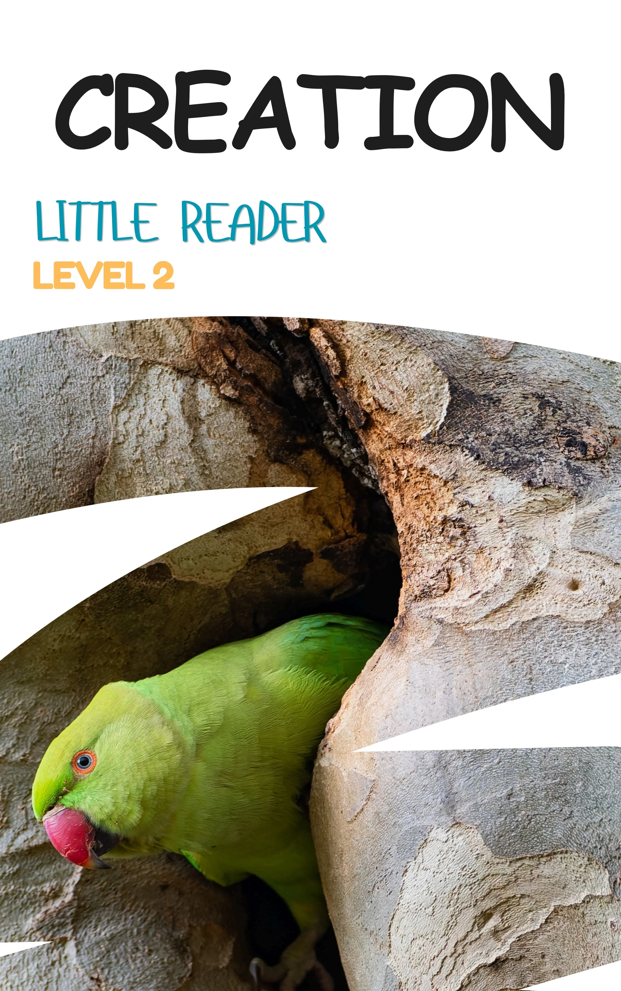 Little Reader Level 2: Creation