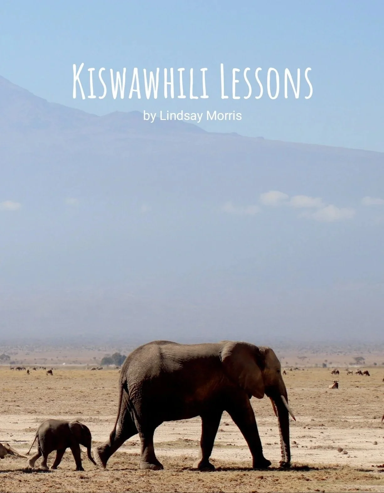 Kiswahili Lessons