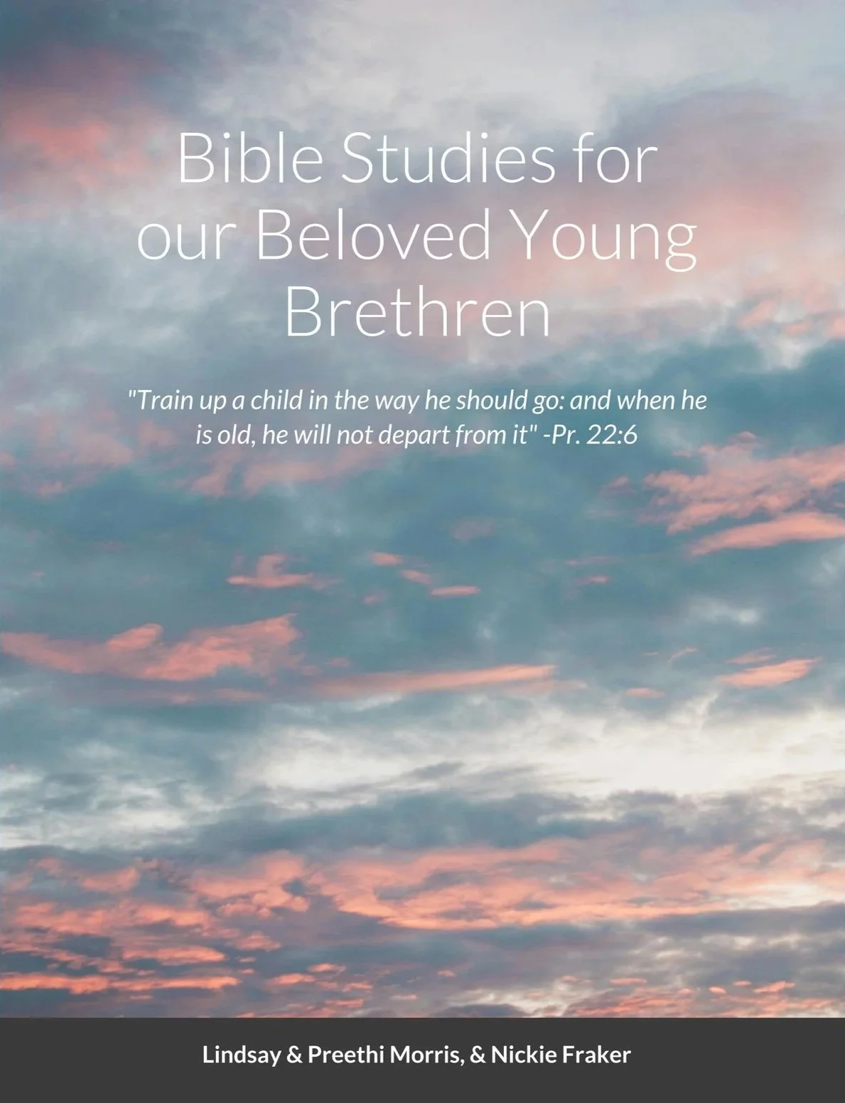 Bible Studies for our Beloved Young Brethren