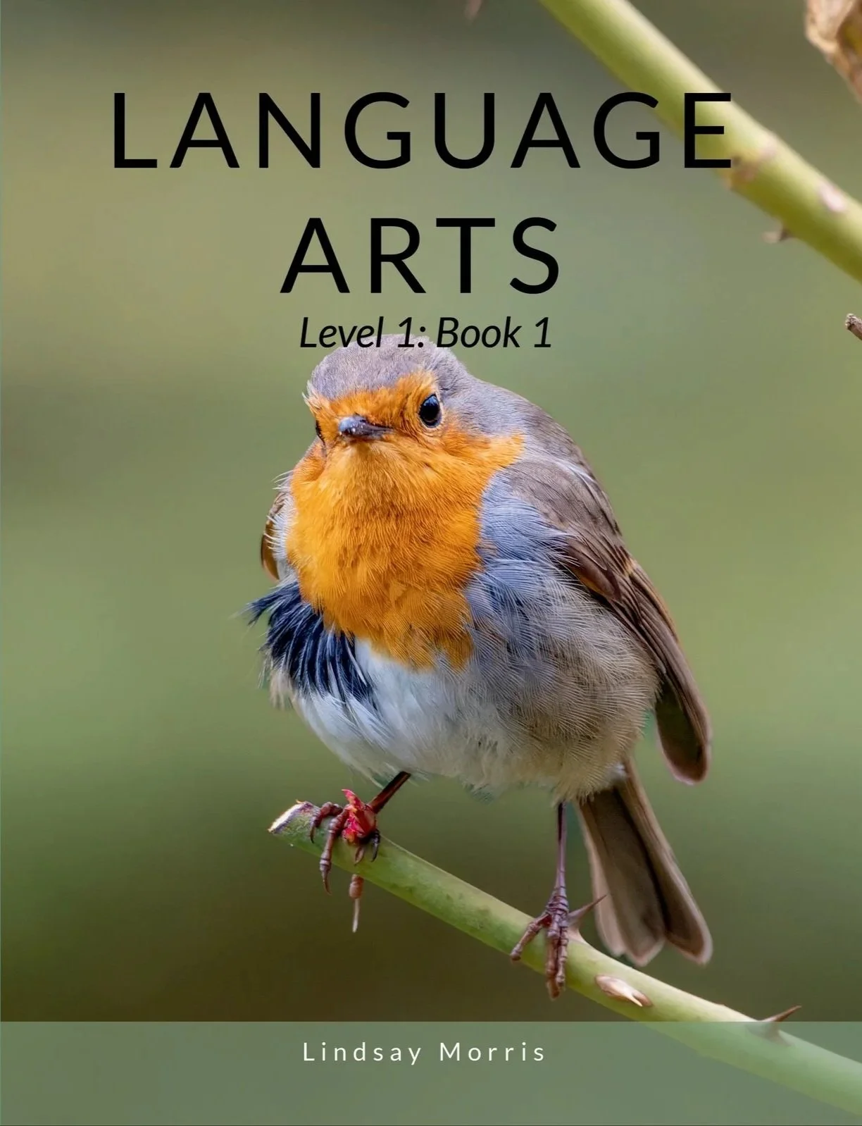 Language Arts Level 1: Book 1