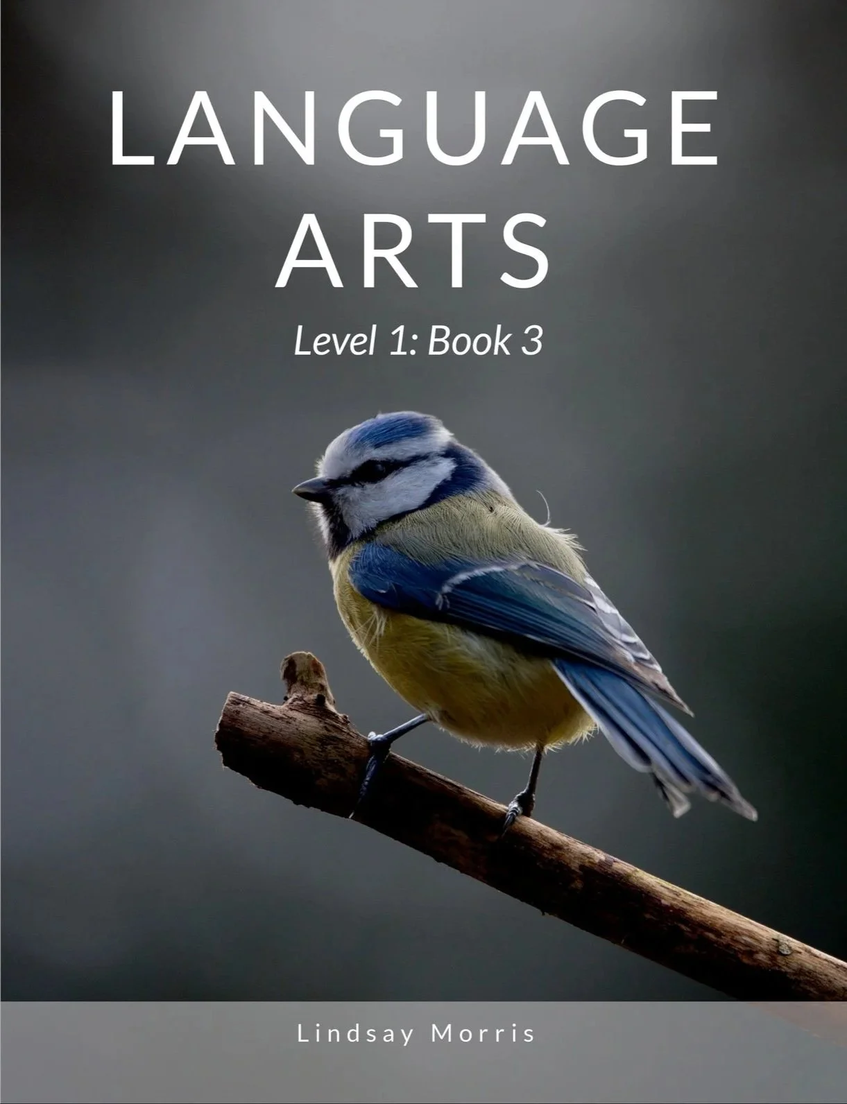 Language Arts Level 1: Book 3