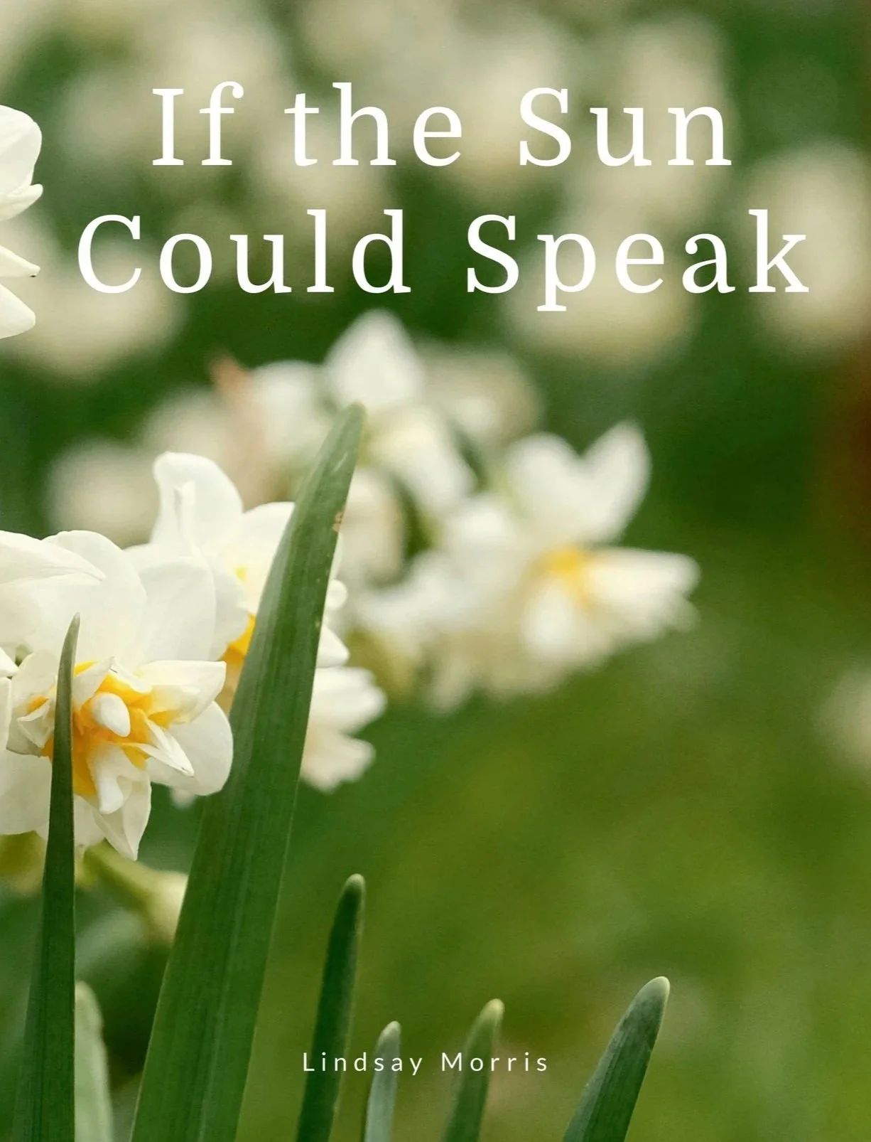 If the Sun Could Speak