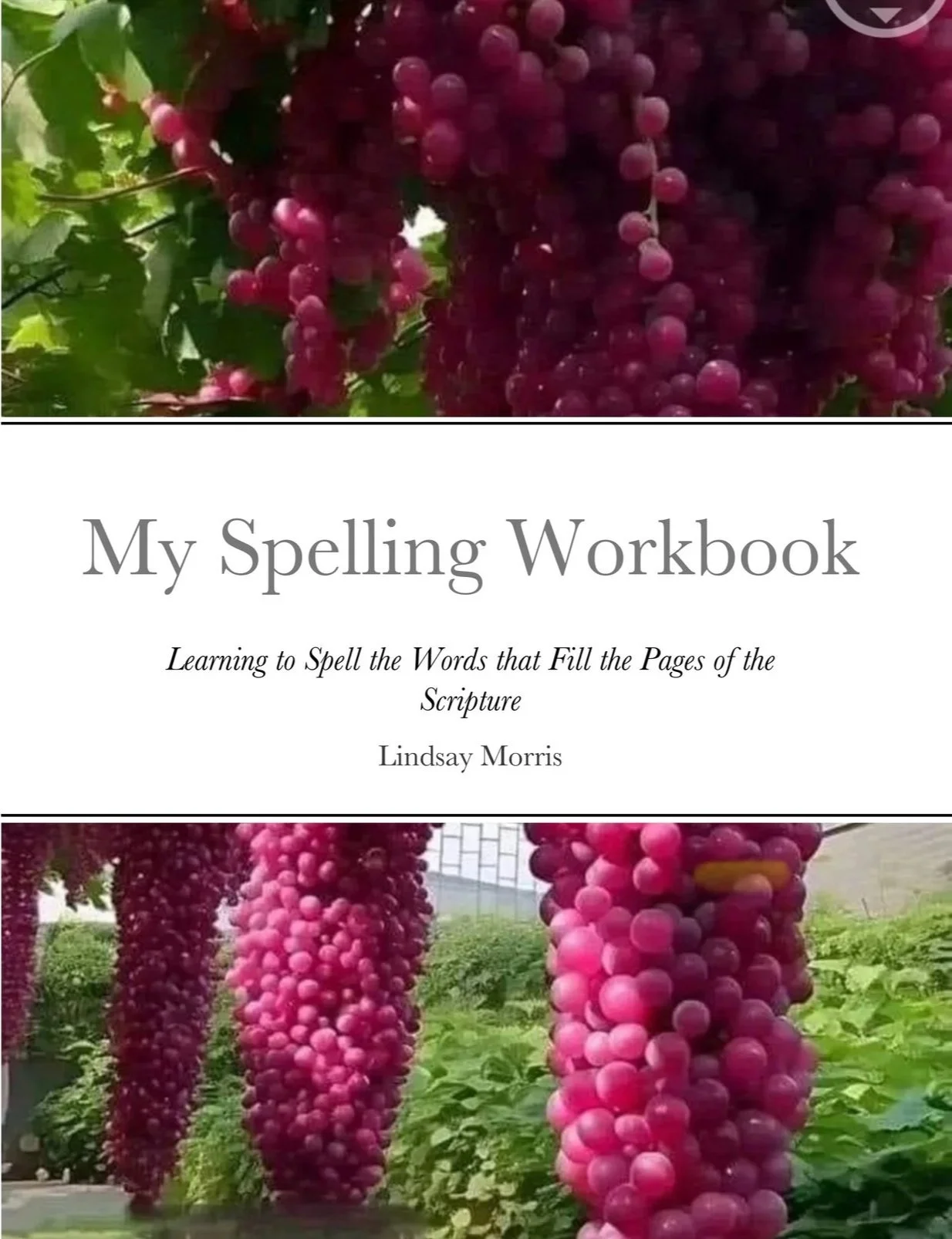 My Spelling Workbook