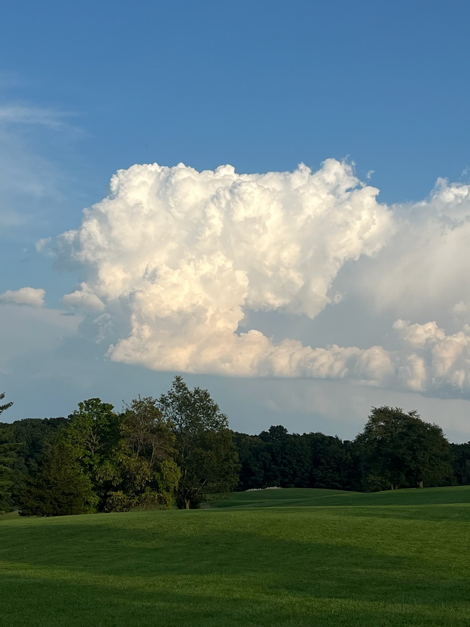 A landscape with green grass, trees, and a partly cloudy sky.