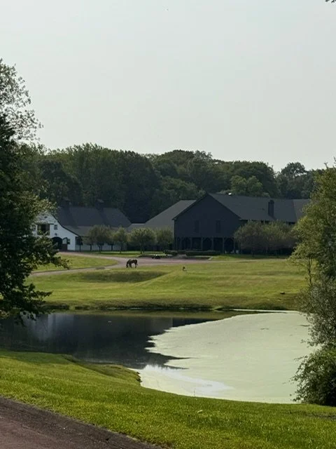 Scenic view of the entrance to the Main Barn with one of the ponds in the foreground, a horse grazing in the distance, and stately barn with dark roofs surrounded by trees under a cloudy sky.