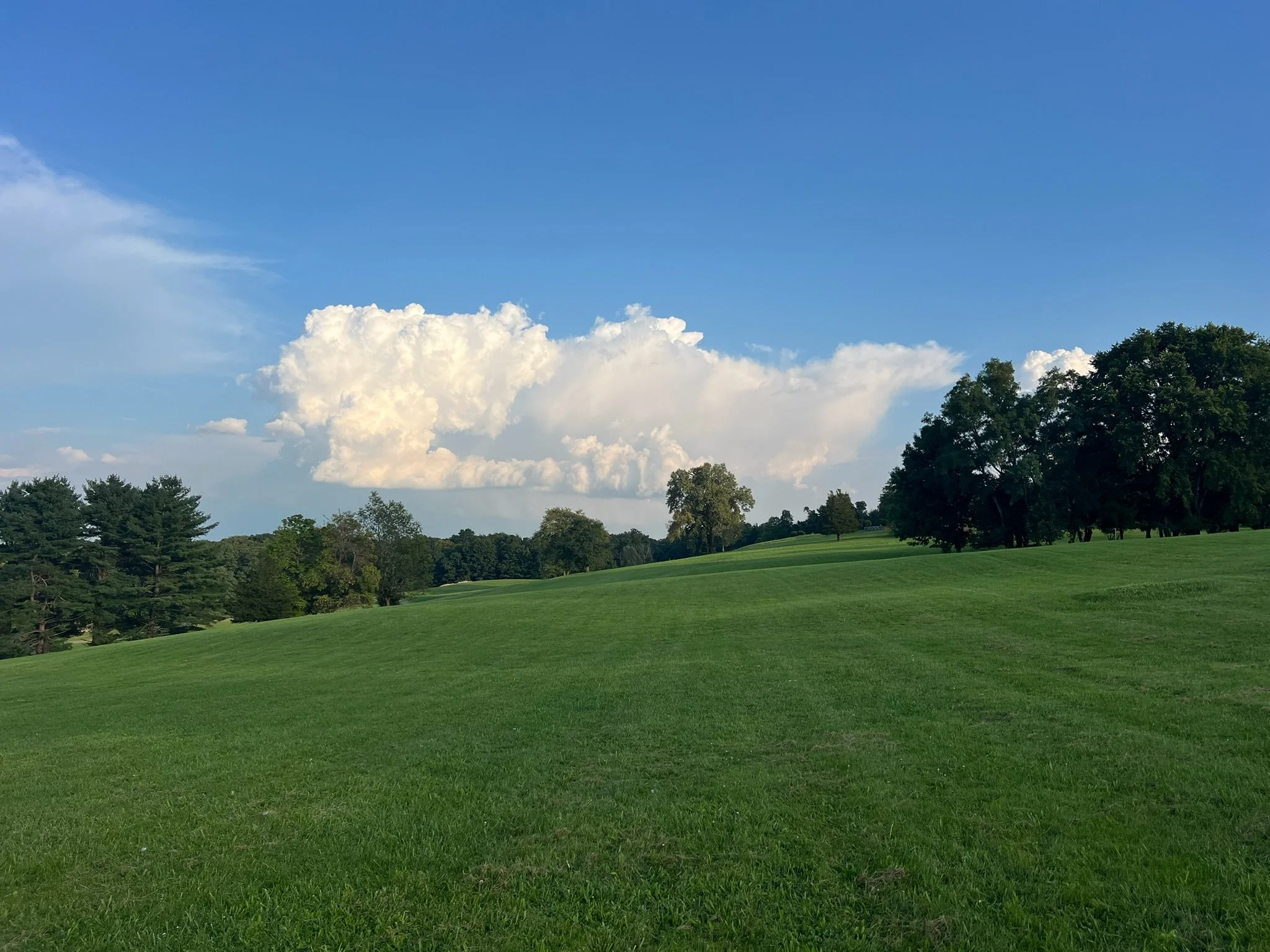 A lush green park with trees on the horizon under a partly cloudy sky.