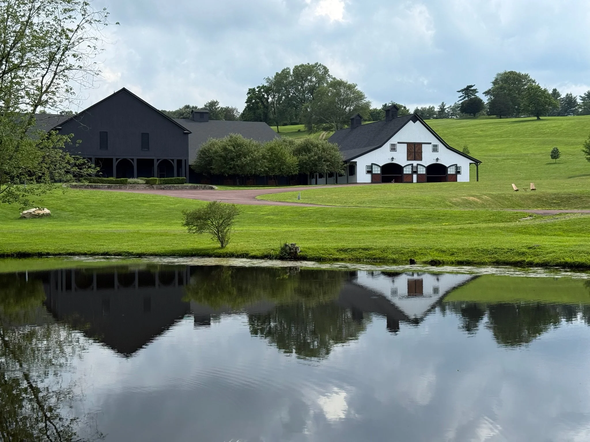 A pond in the foreground with a reflection of a white barn with black accents and a black barn behind it, surrounded by green grass and trees.