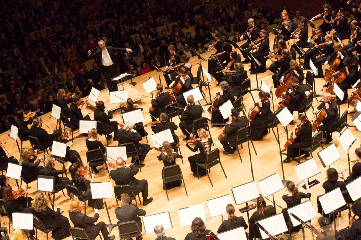 Samuel Pronovost, Maison Symphonique, violon, Orchestre Symphonique des Jeunes de Montréal