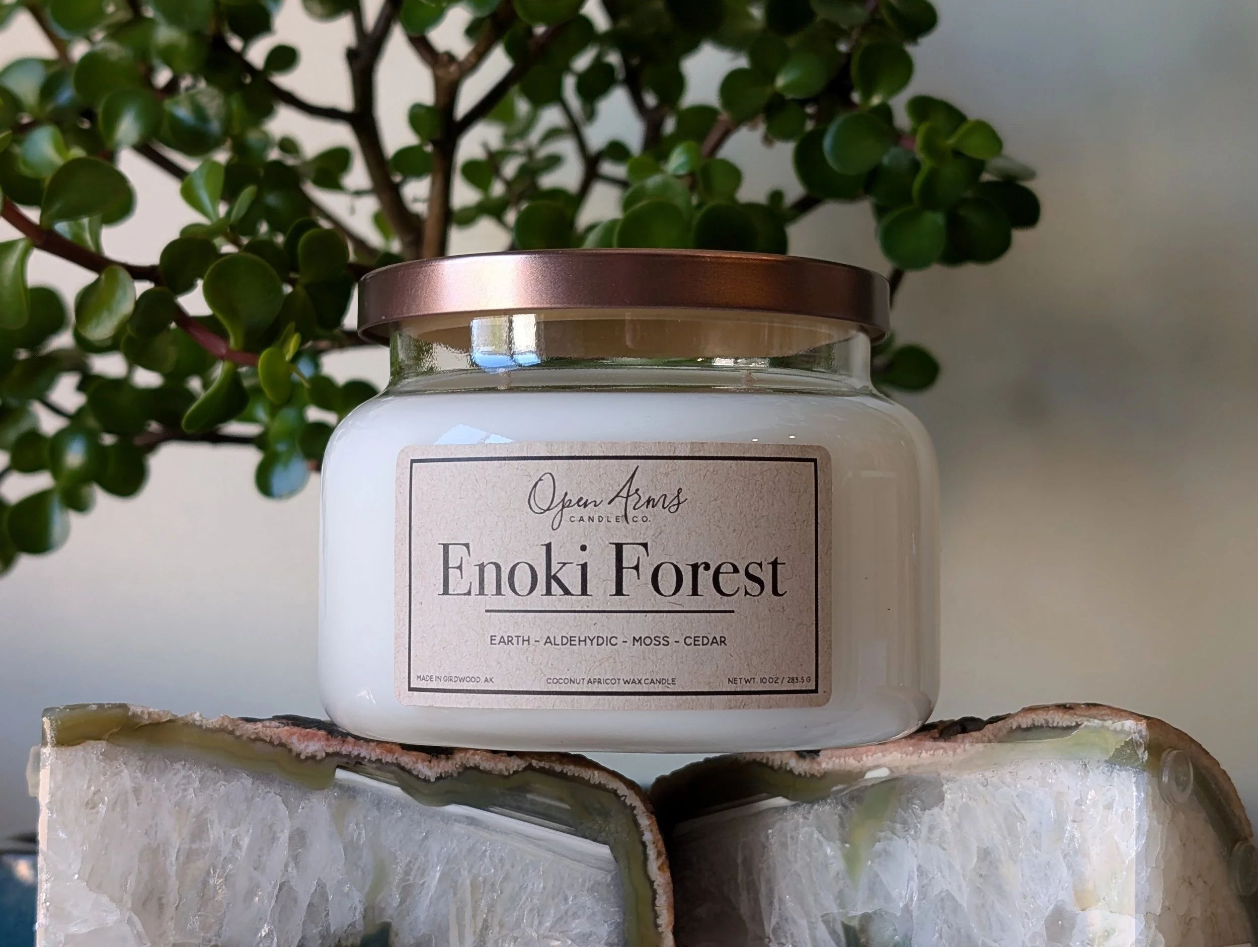 Enoki Forest (NEW!)