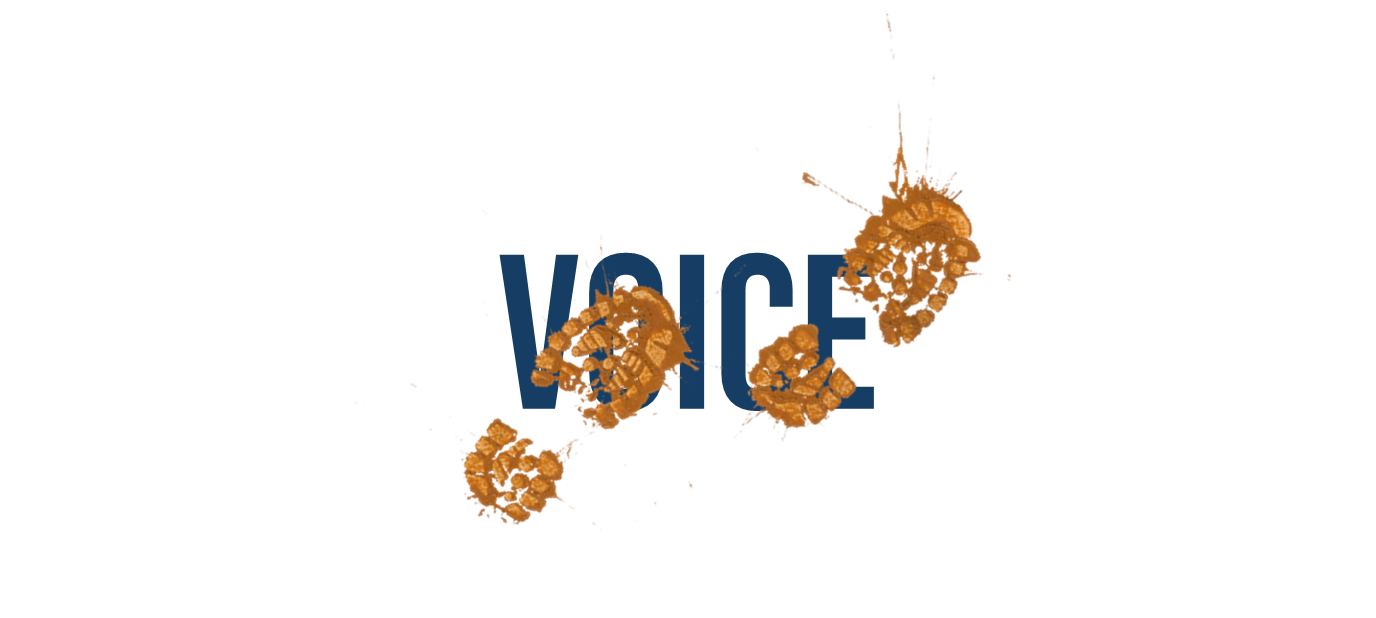 Voice.png