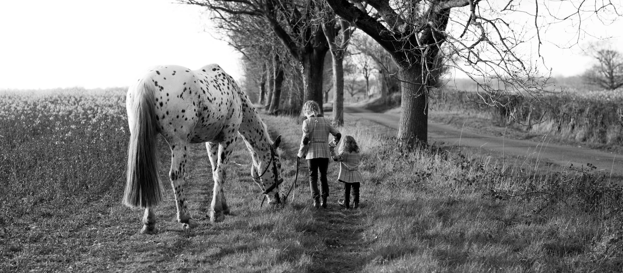 a horse and 2 young girls at sunset in black and white