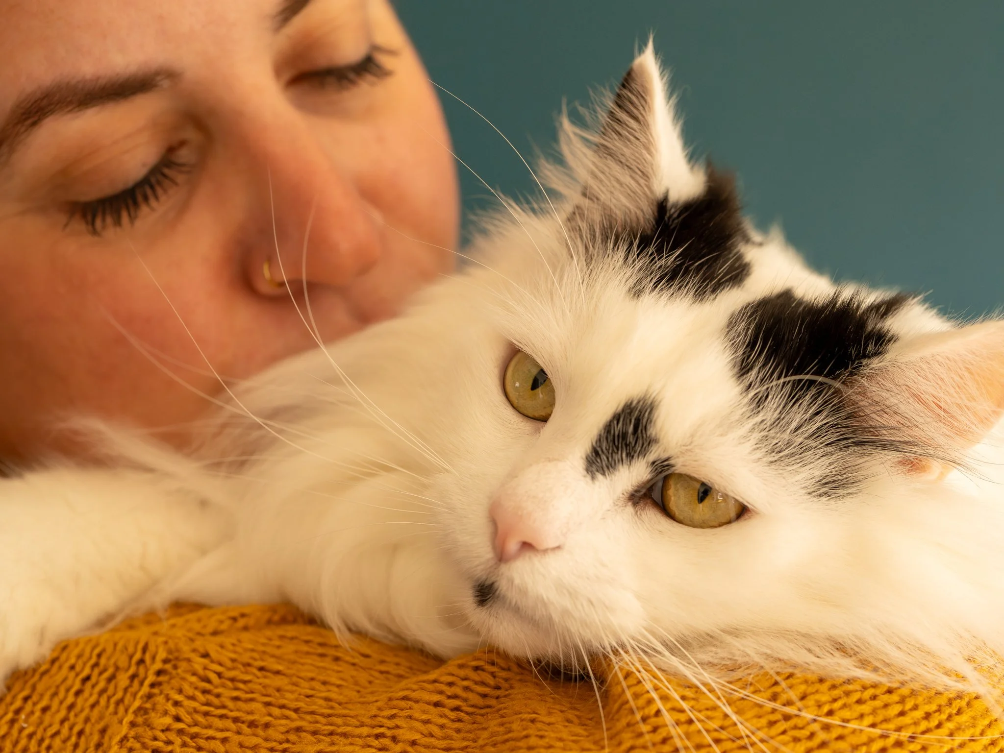 Close-up of a person with closed eyes hugging a white and black cat with golden eyes, wearing a mustard-colored knitted sweater. photographed in withal, Essex. Anne Wills Photography 