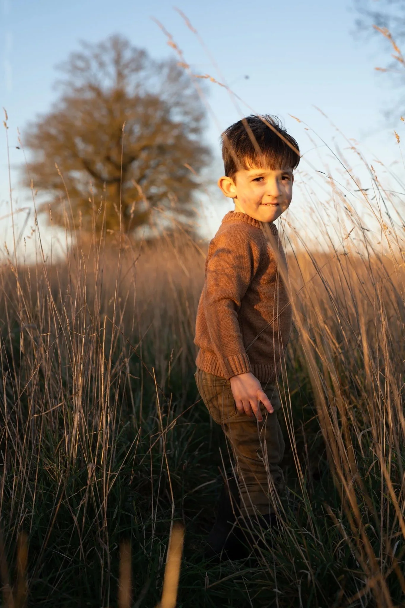 Little boy in grass field at sunset