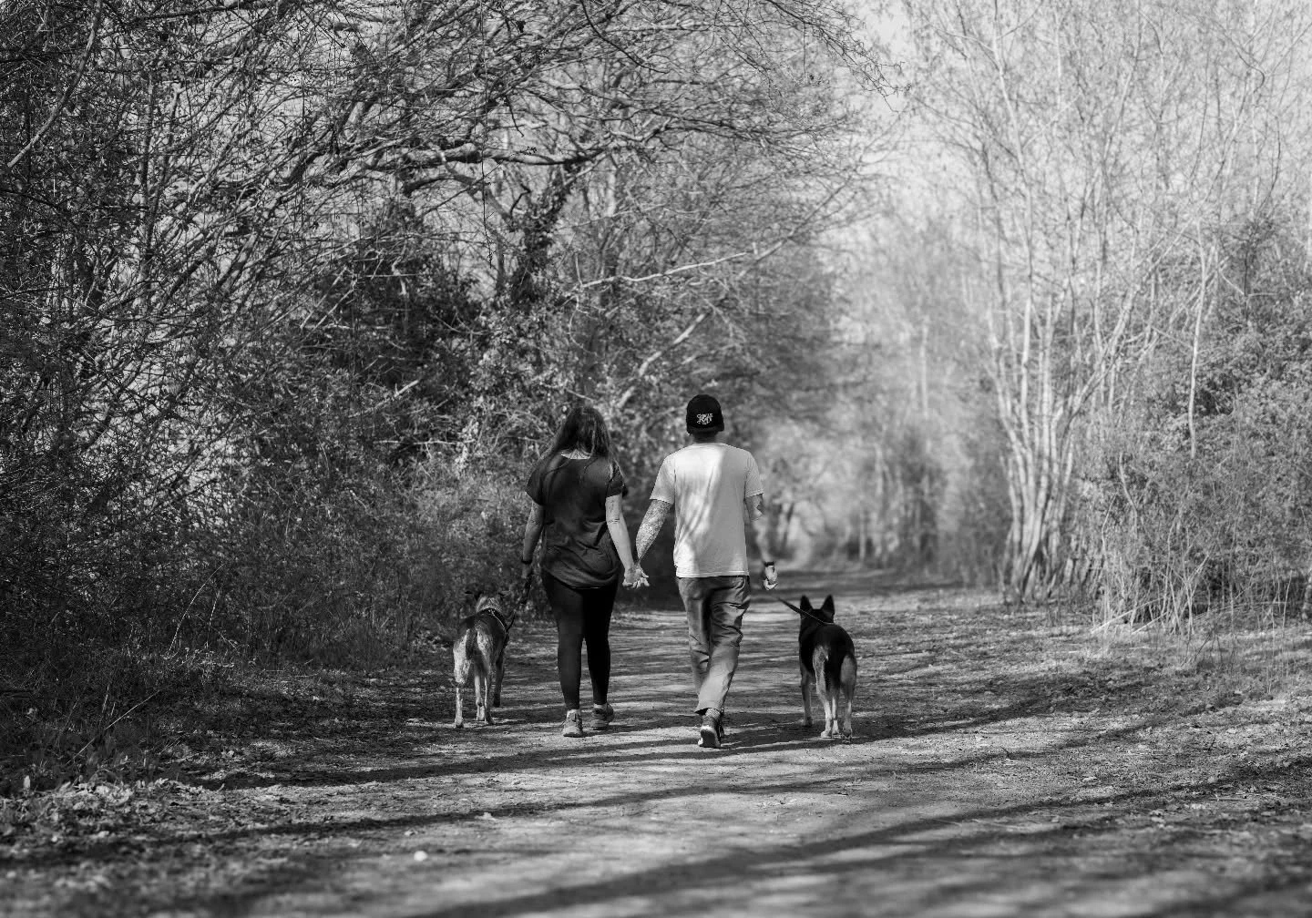 Family isn&rsquo;t always blood. Sometimes it&rsquo;s four paws walking beside you every step of the way. 🐾🖤

#petphotographyuk 
#essexportraitphotographer 
#braintreephotographer