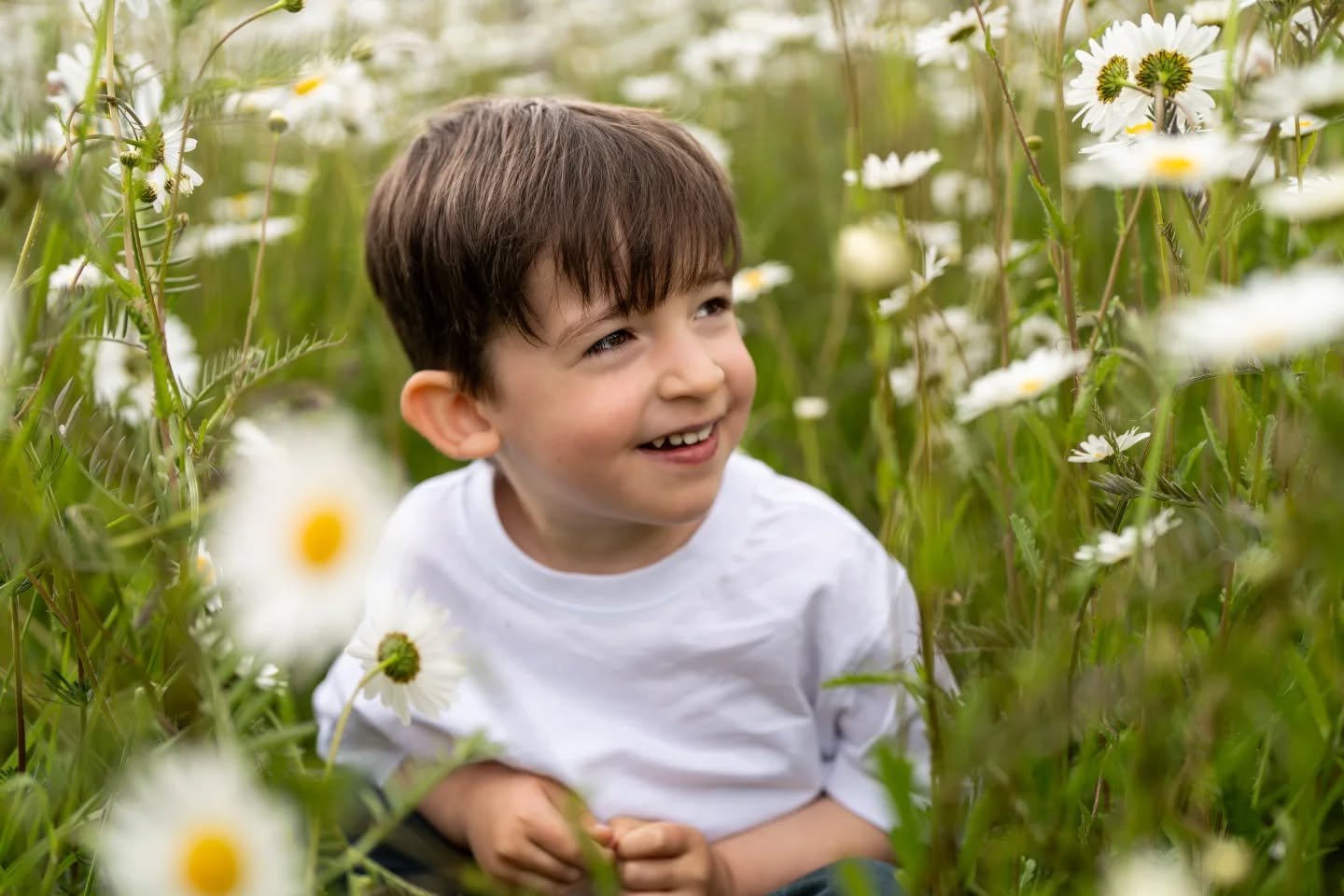Sunshine, wildflowers, and the sweetest little smile 🌼🤍
Some moments feel like magic.

#daisyphotography 
#portraitphotographers 
#essexportraitphotographer 
#braintreephotographer
