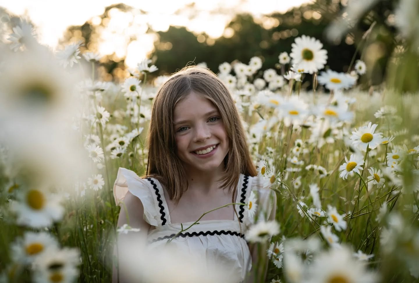 Daisy meadow at sunset 💛

#daisyphotography 
#goldenhour☀️ 
#essexportraitphotographer 
#braintreephotographer