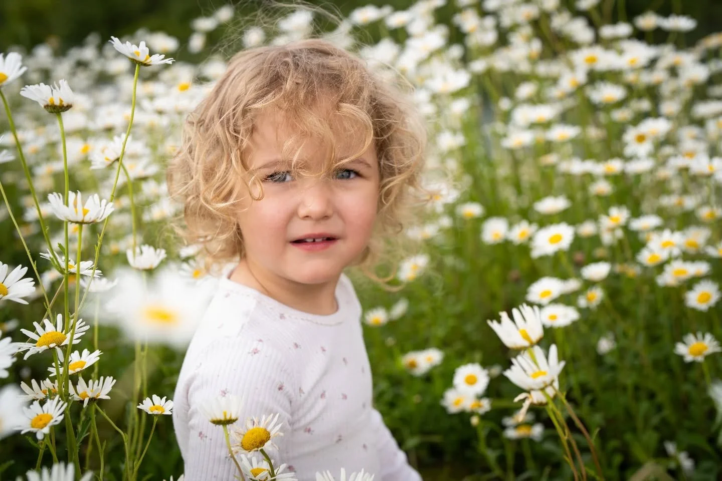 The most gorgeous daisy shoot from yesterday with this little lady ❤️

#daisyphotography 
#braintreephotographer 
#essexportraitphotographer