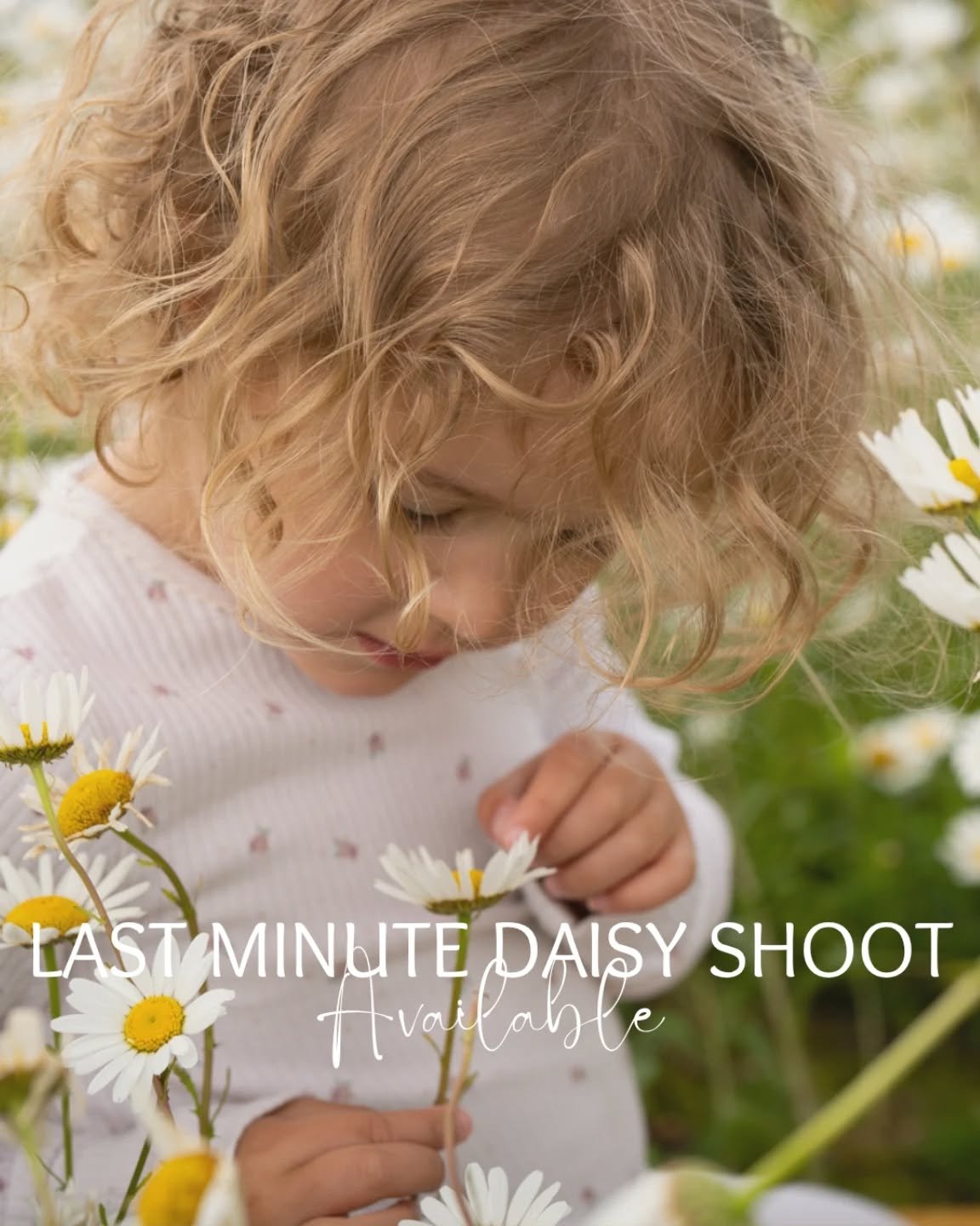 🌼 DISCOUNTED LAST MINUTE DAISY SHOOT SLOT AVAILABLE🌼

A last minute space has become available for a beautiful daisy meadow photoshoot, and I'm offering it at a discounted price which includes all your fully edited digital images for download!!

Th
