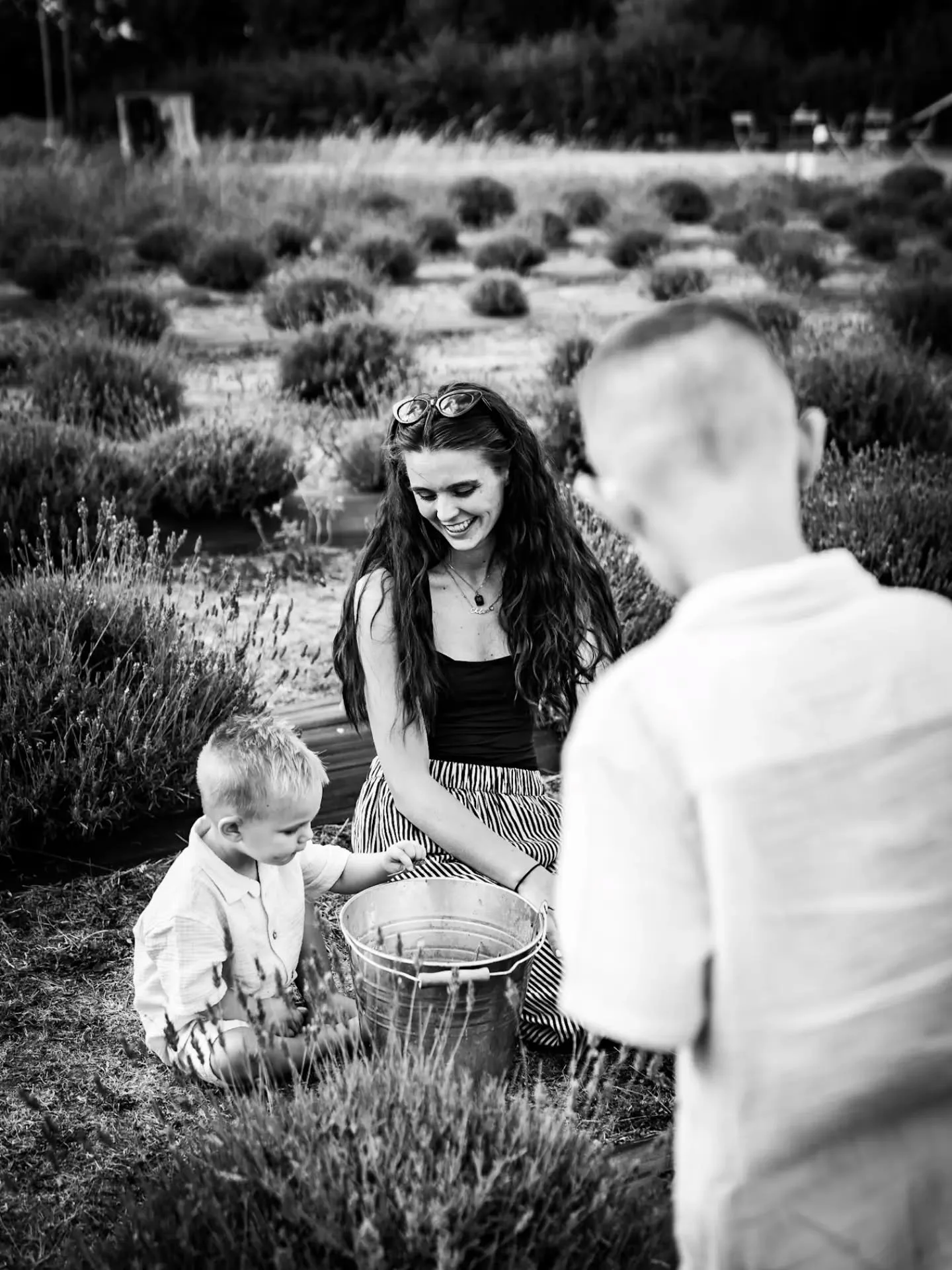Love this shot 🤍🖤

#finchingfieldlavender 
#blackandwhite 
#familyphotography 
#essexportraitphotographer