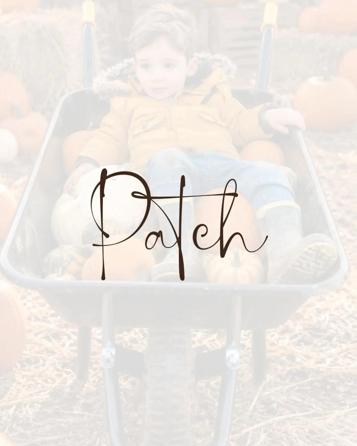 Pumpkin patch. BOOK NOW!!

#booknow‼️ 
#pumpkinpicking 
#pumpkinpatch🎃