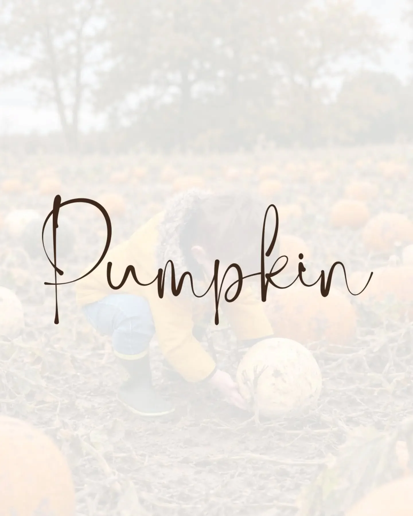Pumpkin picking. BOOK NOW!!

#ʙᴏᴏᴋɴᴏᴡ 
#pumpkinpicking 
#pumpkinpatch🎃